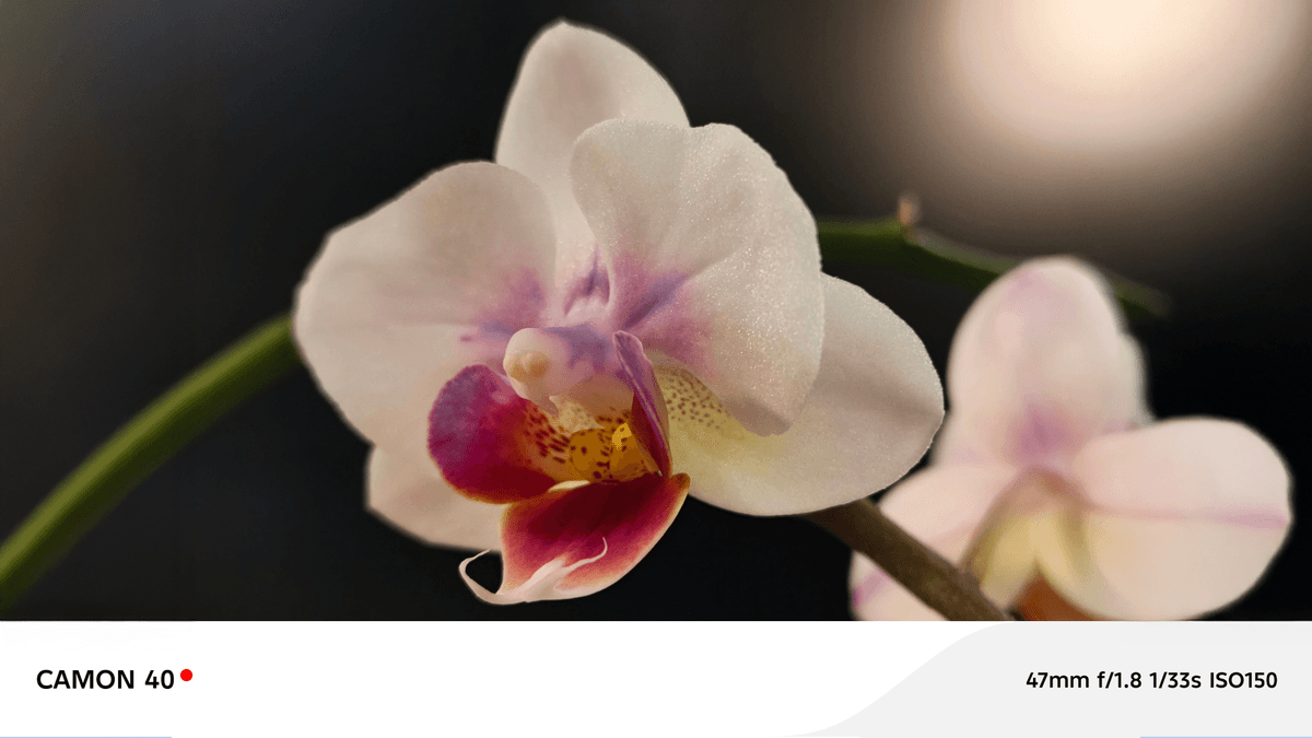 Весна в городе — новая активность: ловим первые лучики!