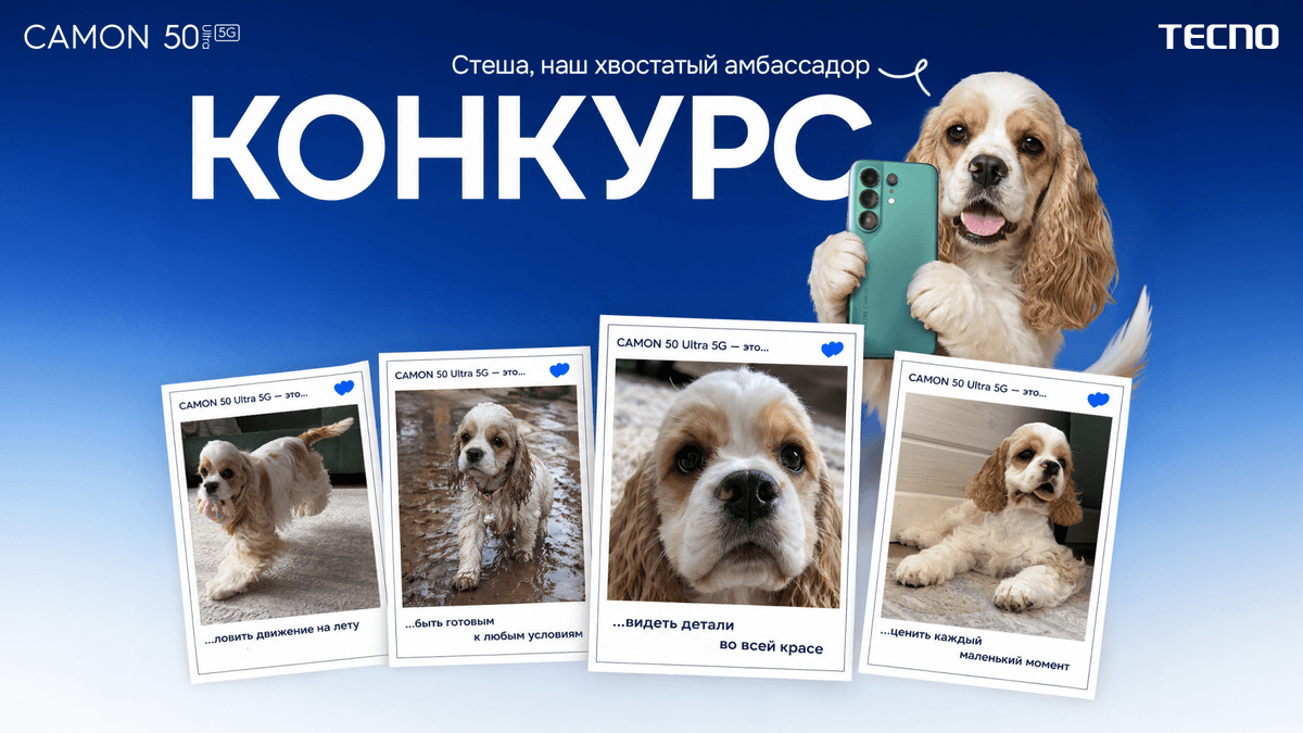 Запускаем конкурс для вас и питомцев “Всегда готов!”