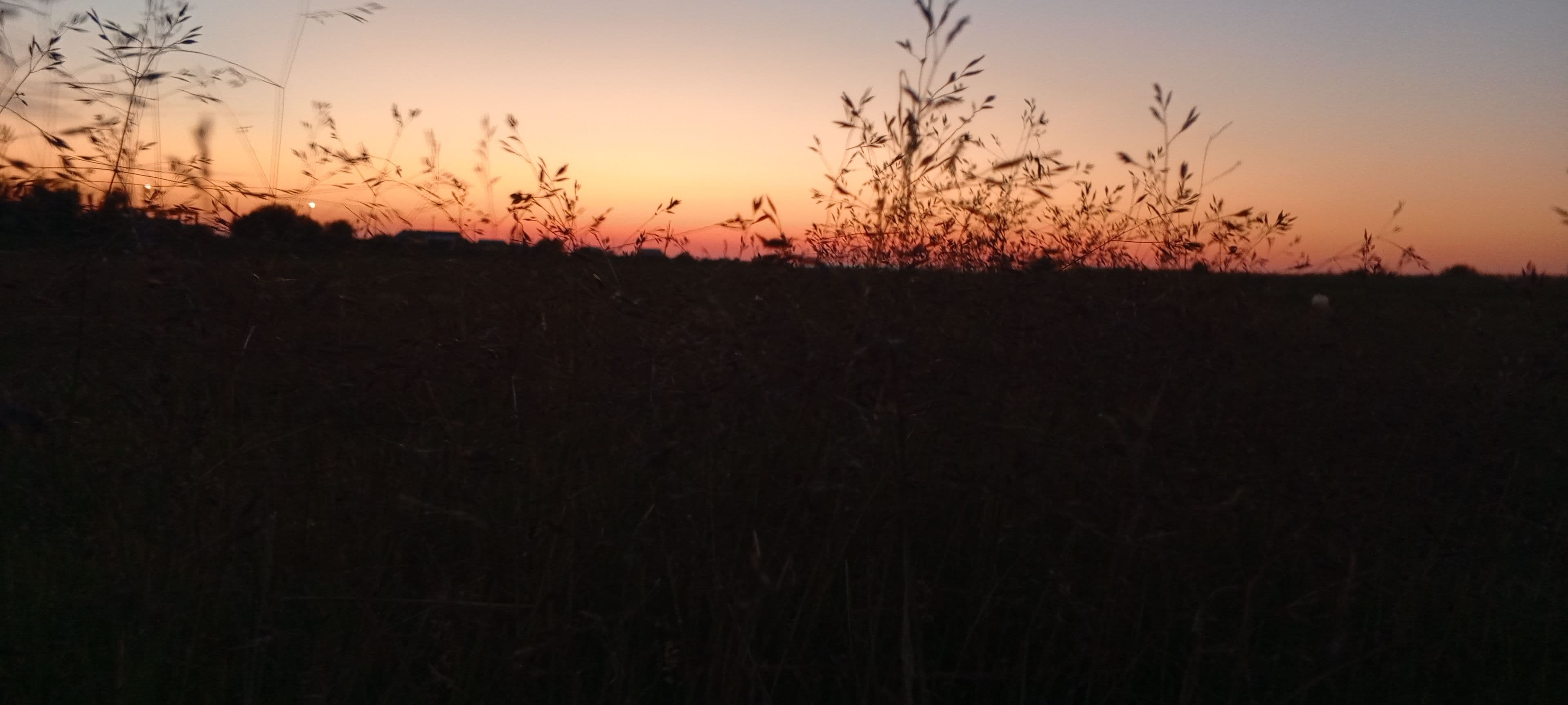 IMG_20250620_215424_474.jpg
