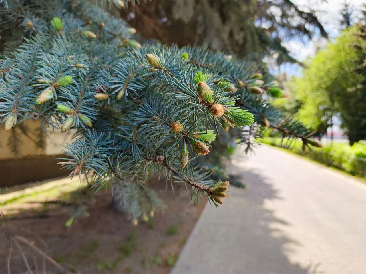 image_1748254992205.jpg