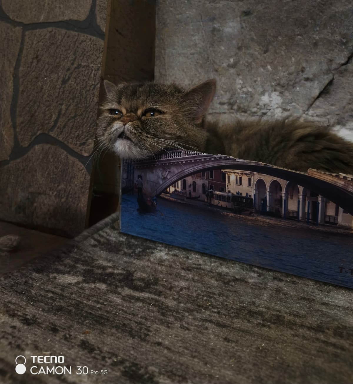 Игры играми, а отдыхать тоже нужно