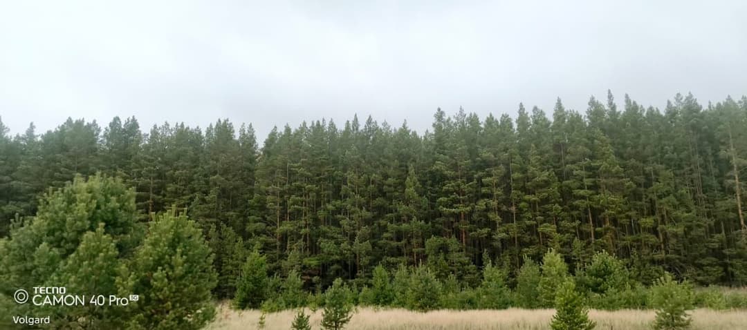 image_1759451770456.jpg
