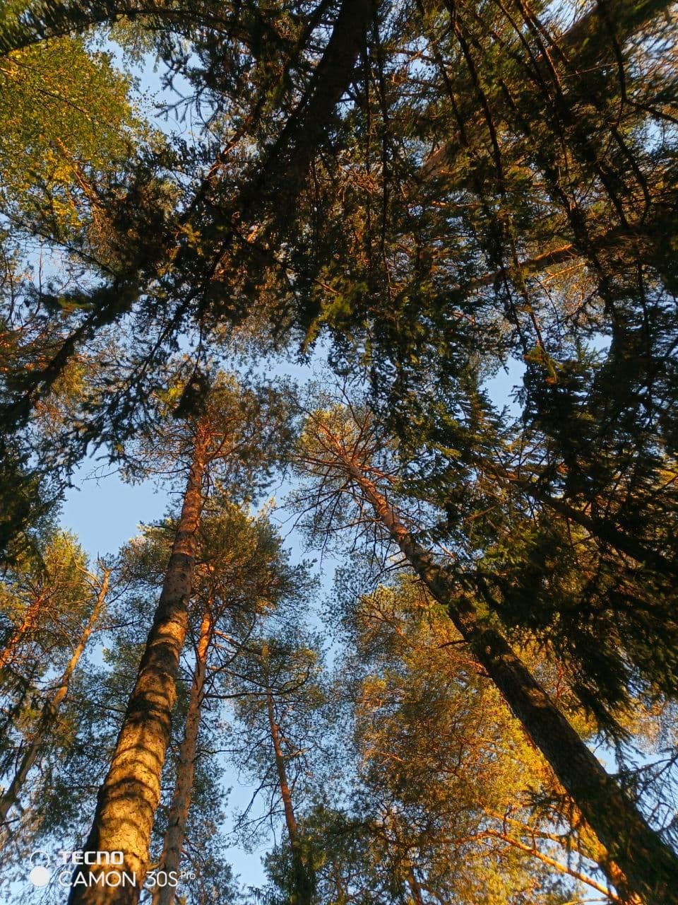 image_1759495558689.jpg