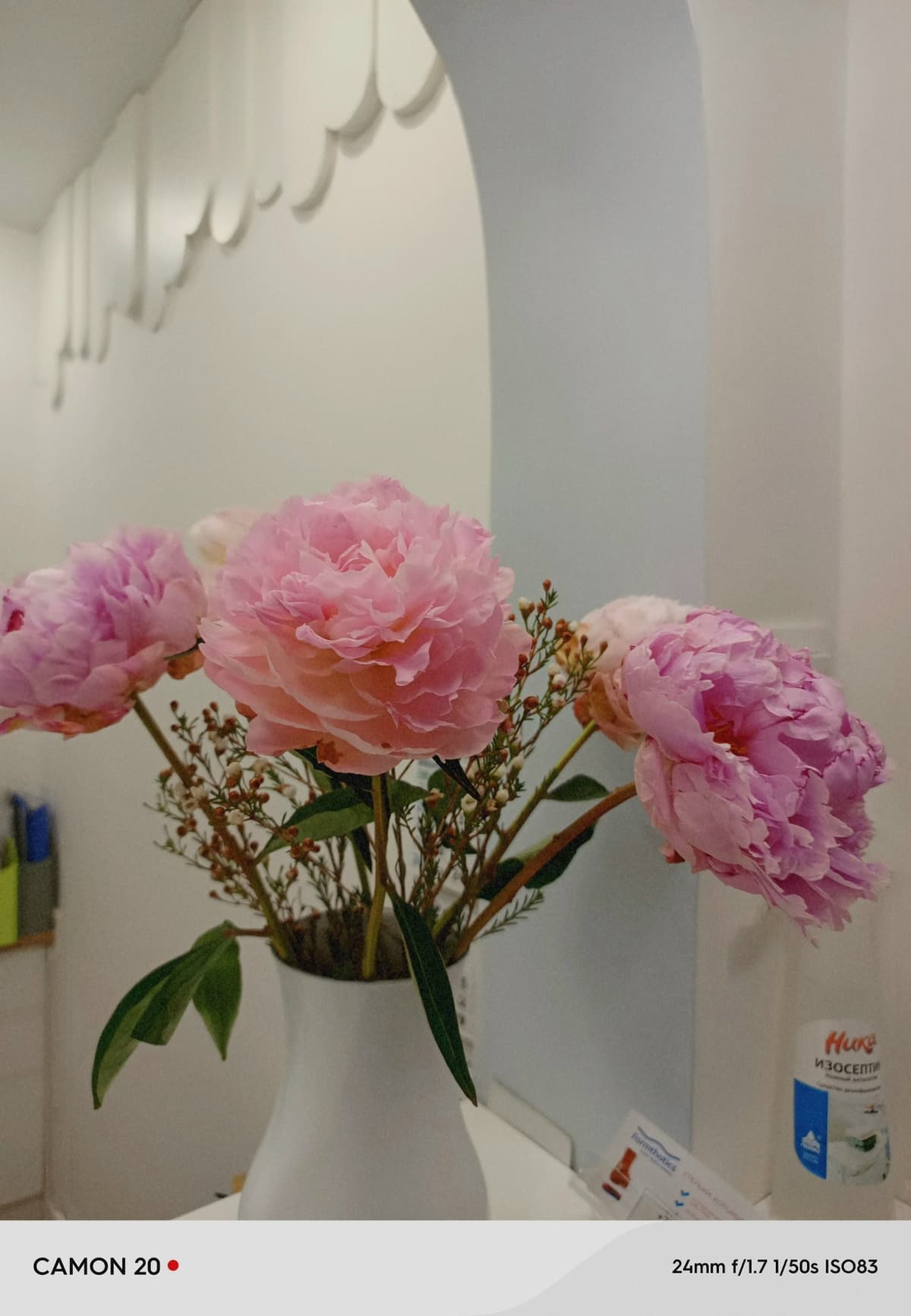 image_1773215514185.jpg