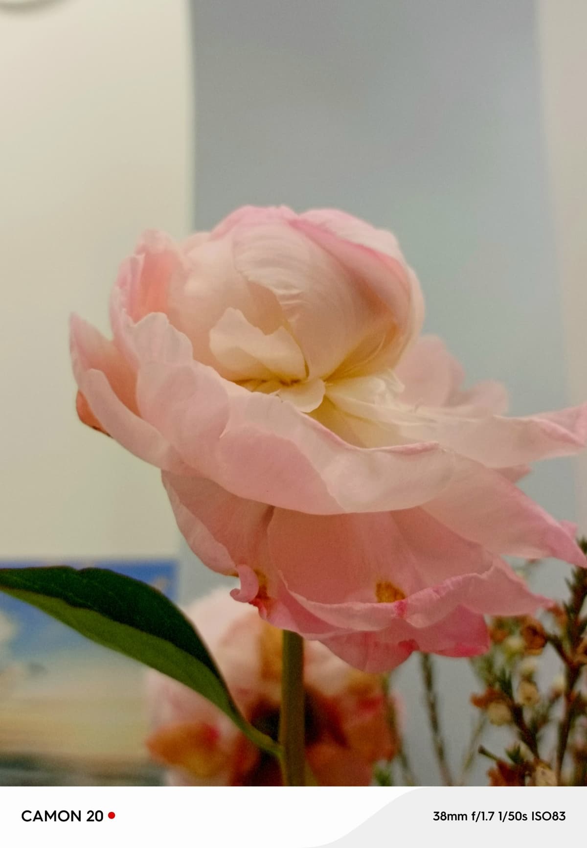 image_1773215517861.jpg