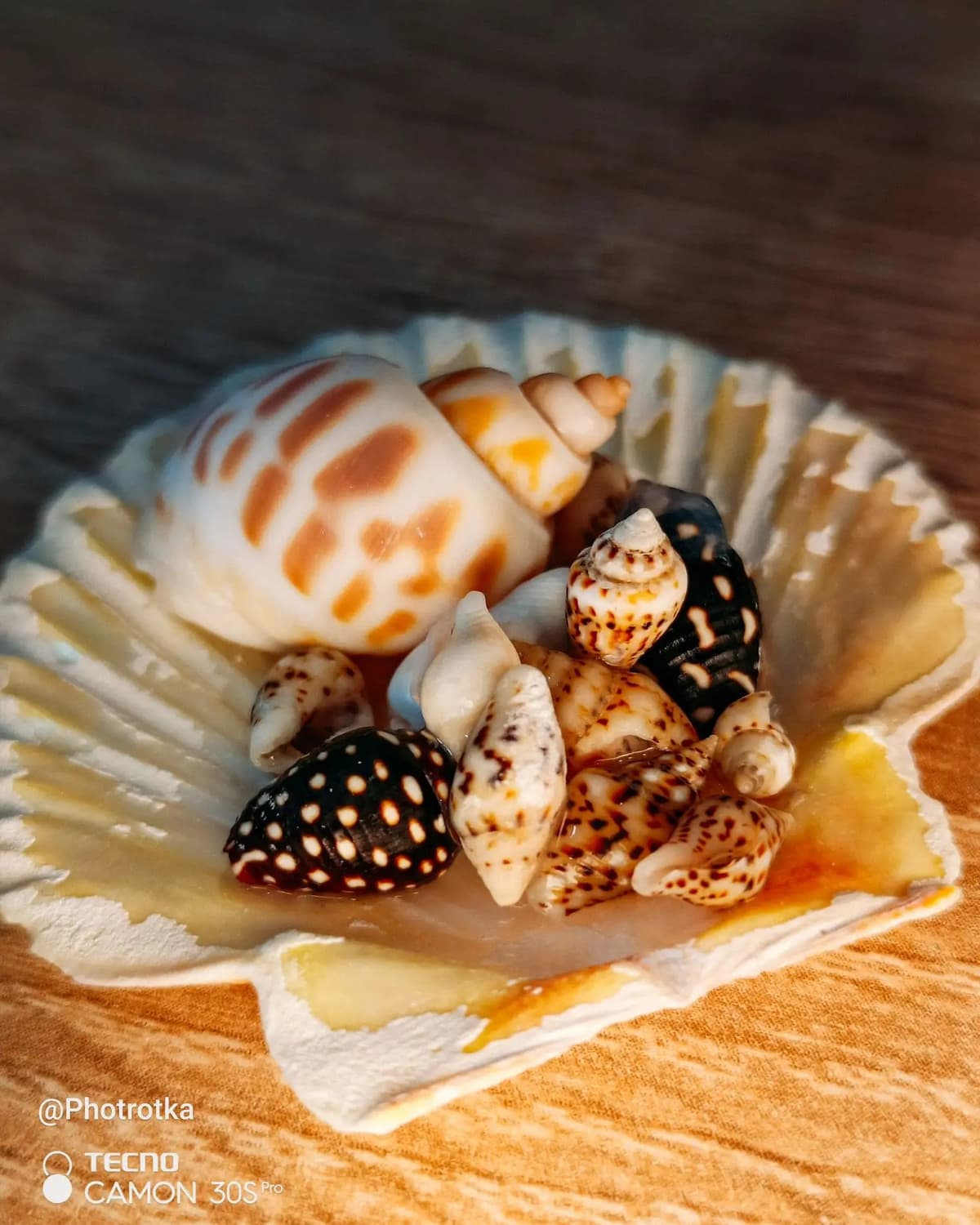 image_1774992807552.jpg