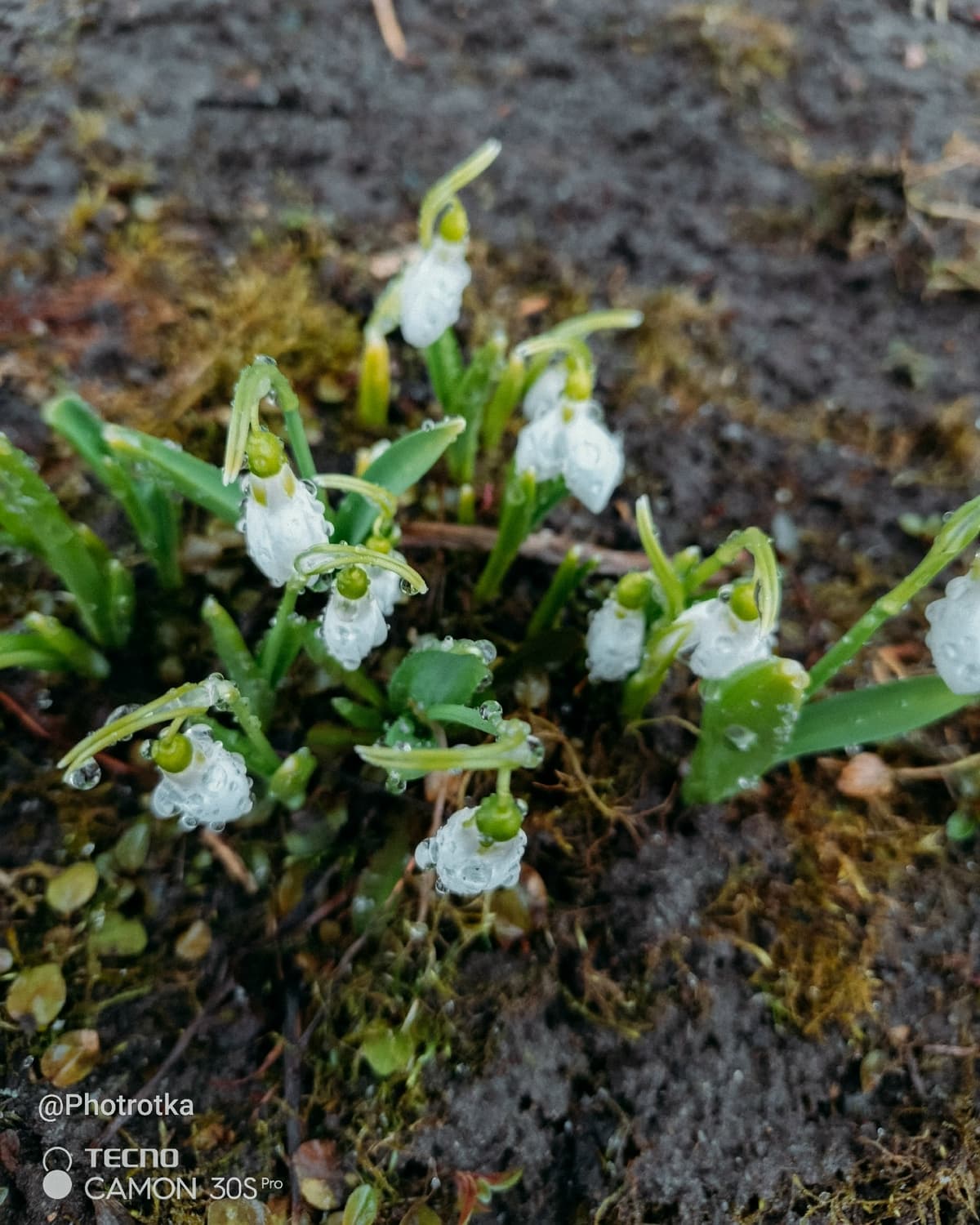 image_1777371436180.jpg