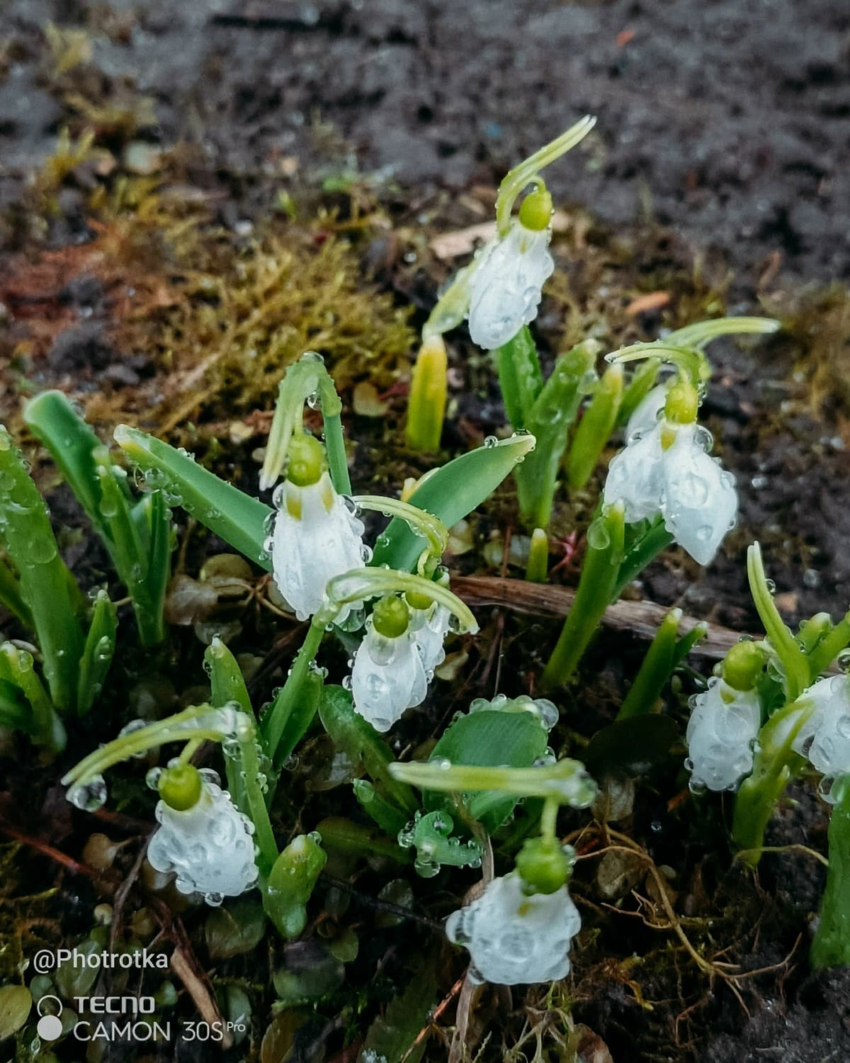 image_1777371441955.jpg