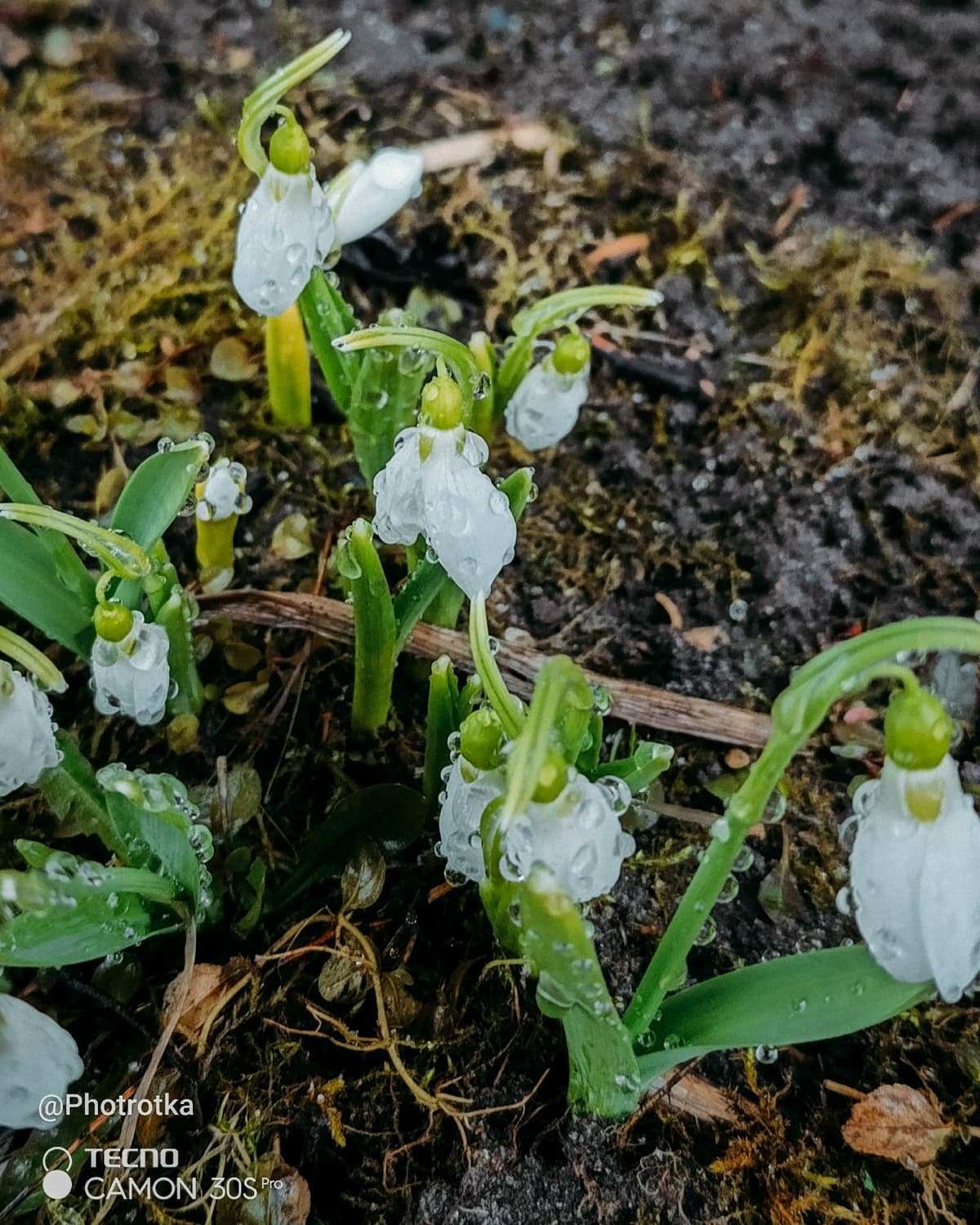 image_1777371448732.jpg