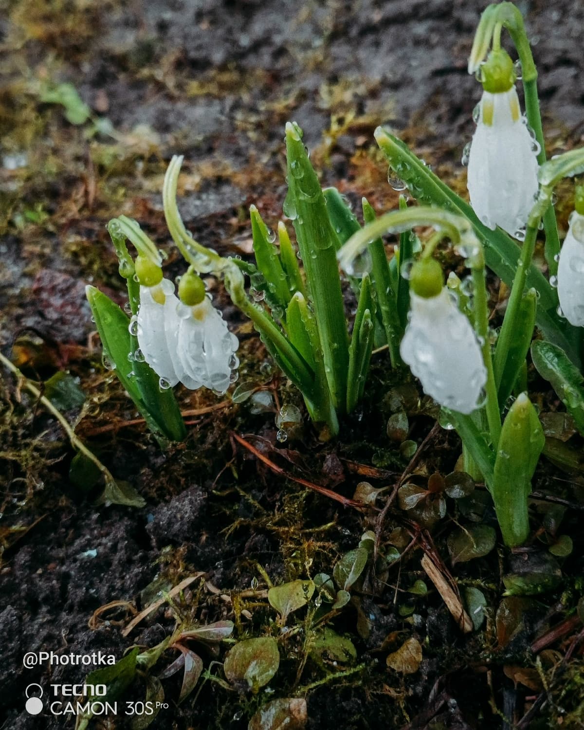 image_1777371517243.jpg