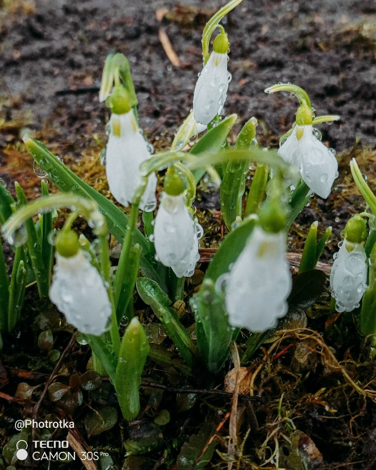 image_1777371517245.jpg