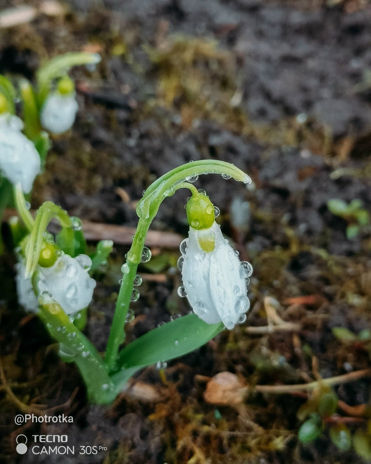 image_1777371520813.jpg