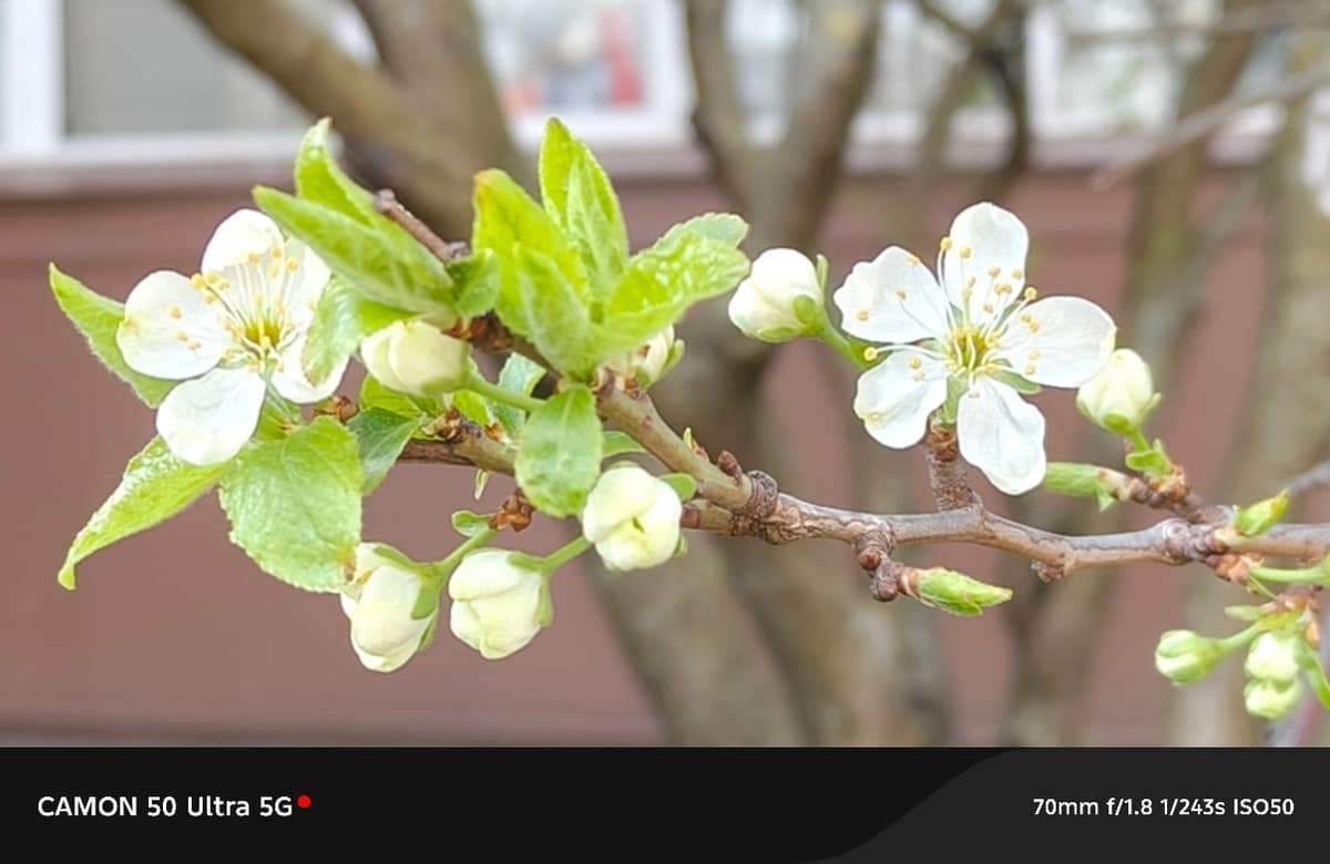 image_1777911234780.jpg