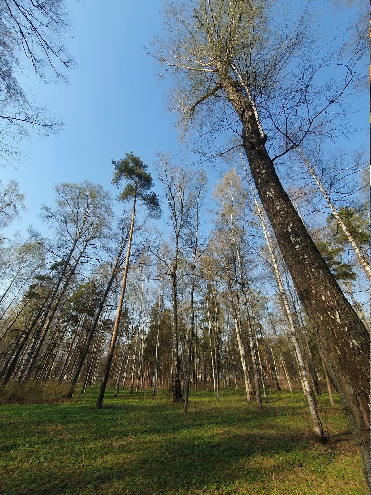 image_1778100728843.jpg