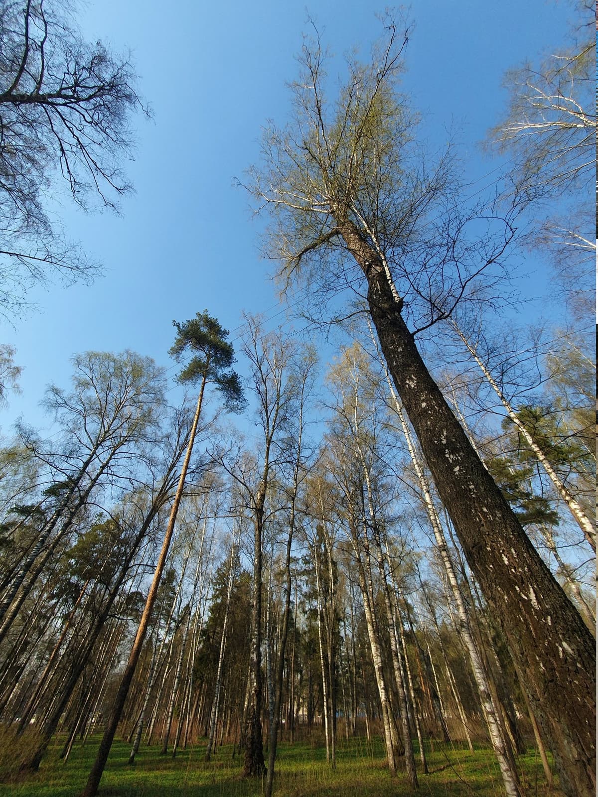 image_1778100728843.jpg
