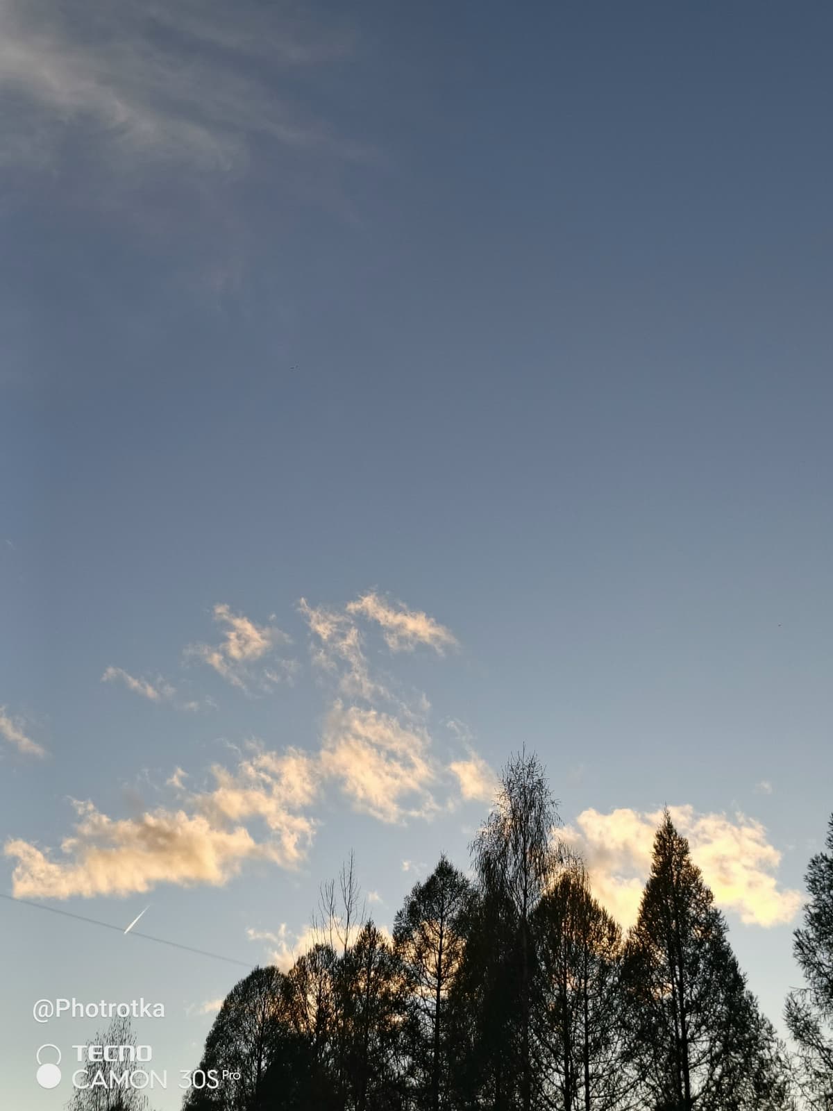 image_1778586817387.jpg