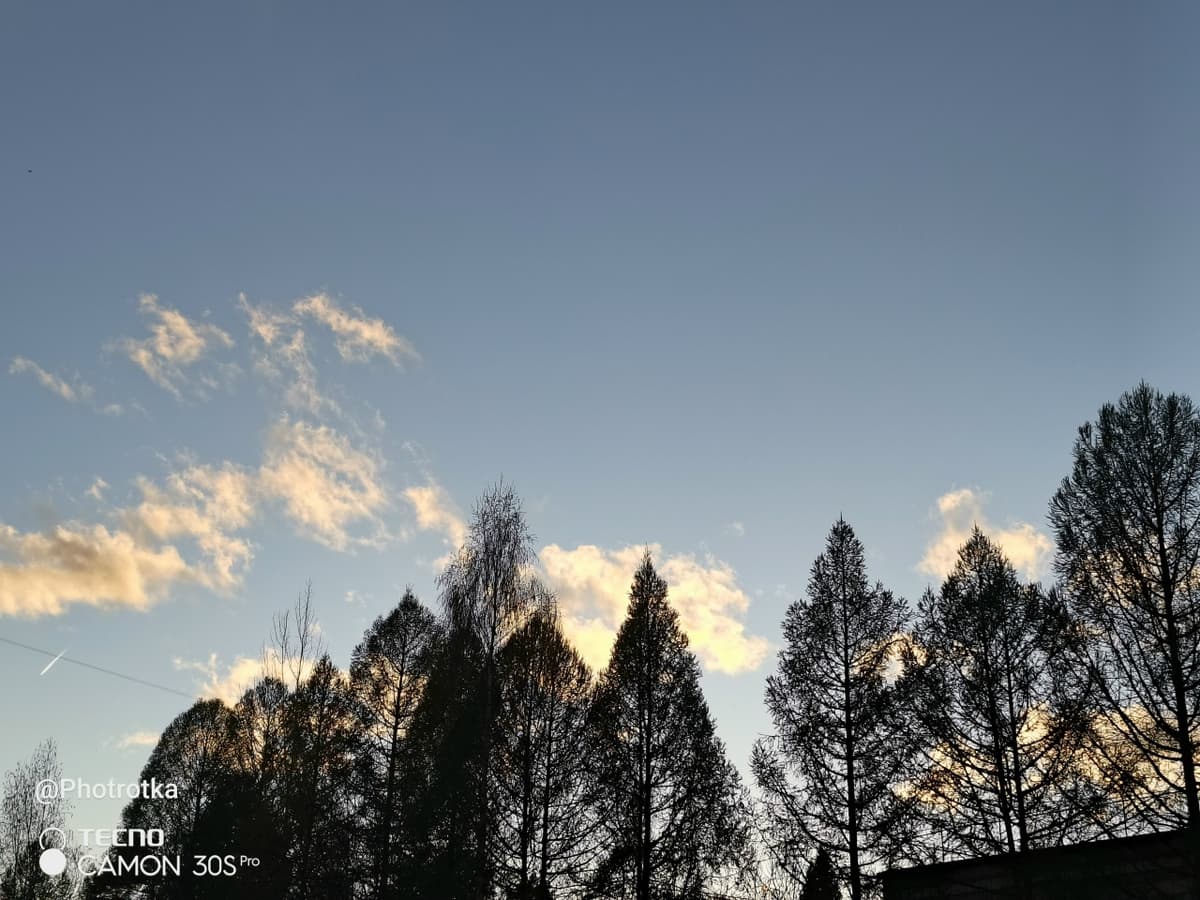 image_1778586822097.jpg