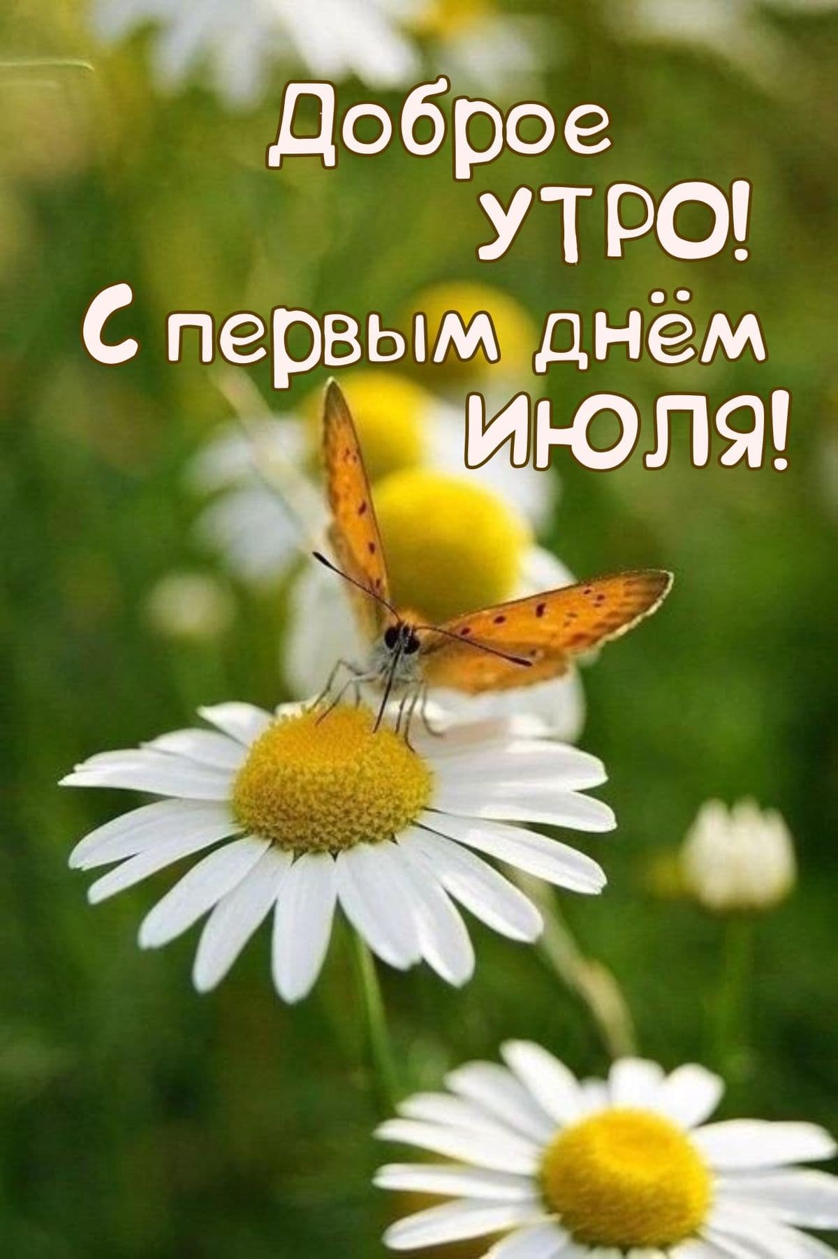 image_1782888487773.jpg