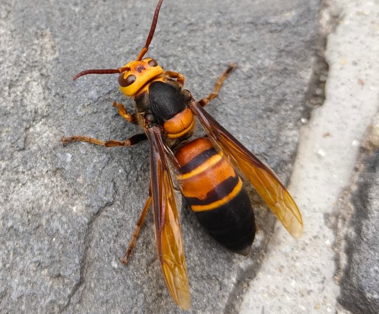 image_1788670450912.jpg