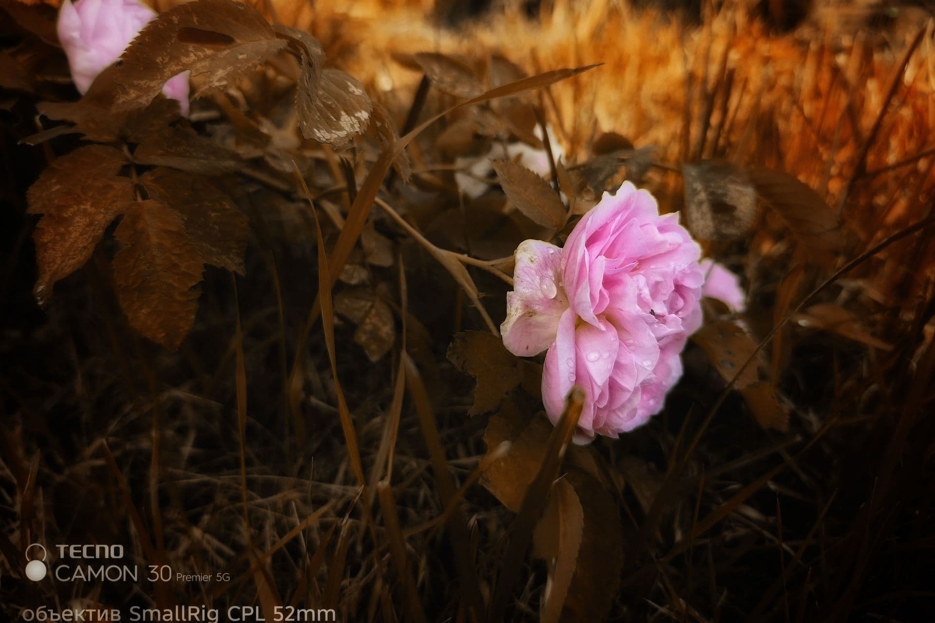 large_image_1750425123961.jpg