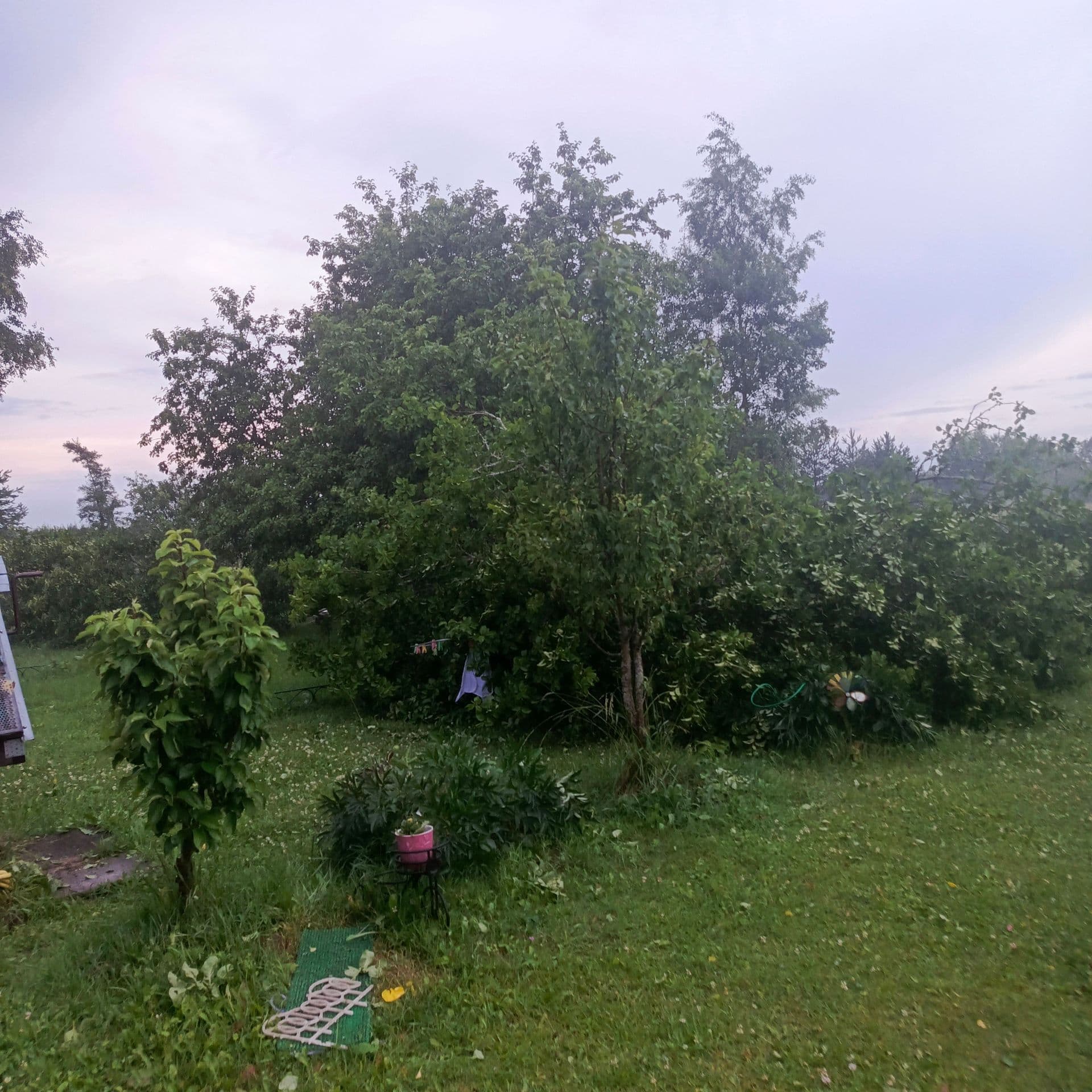 large_image_1752466154723.jpg