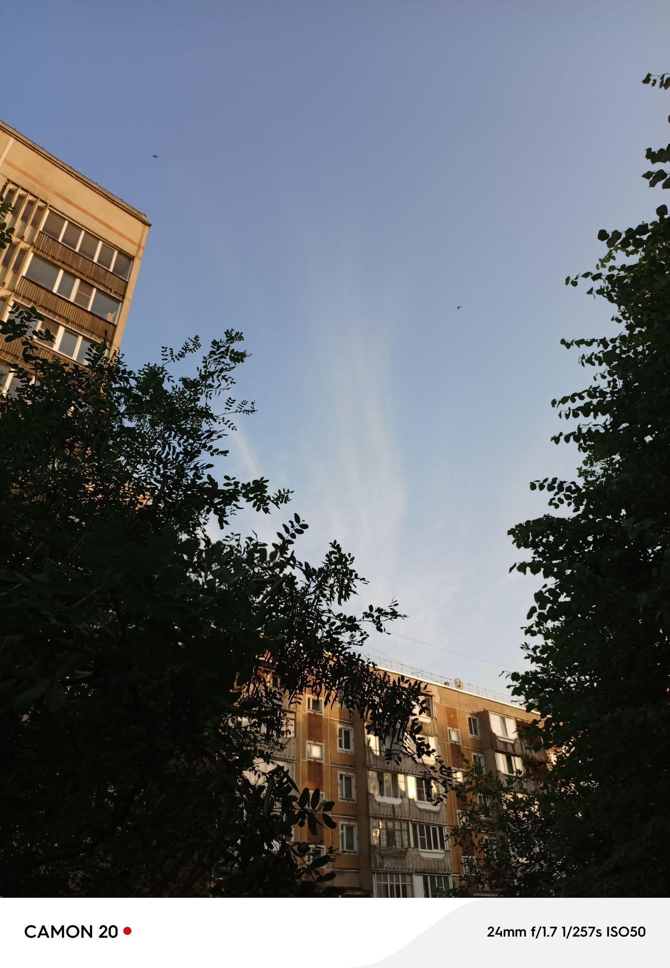 large_image_1752674111570.jpg