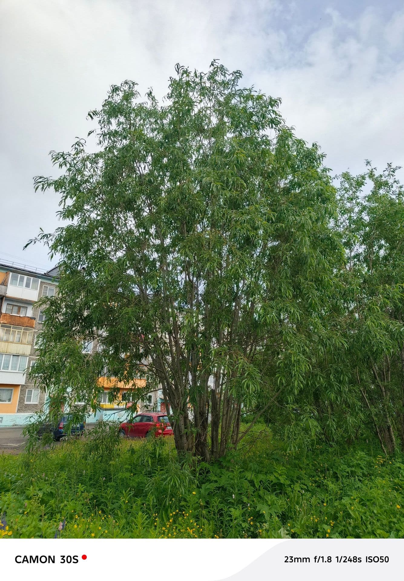 large_image_1752757741849.jpg