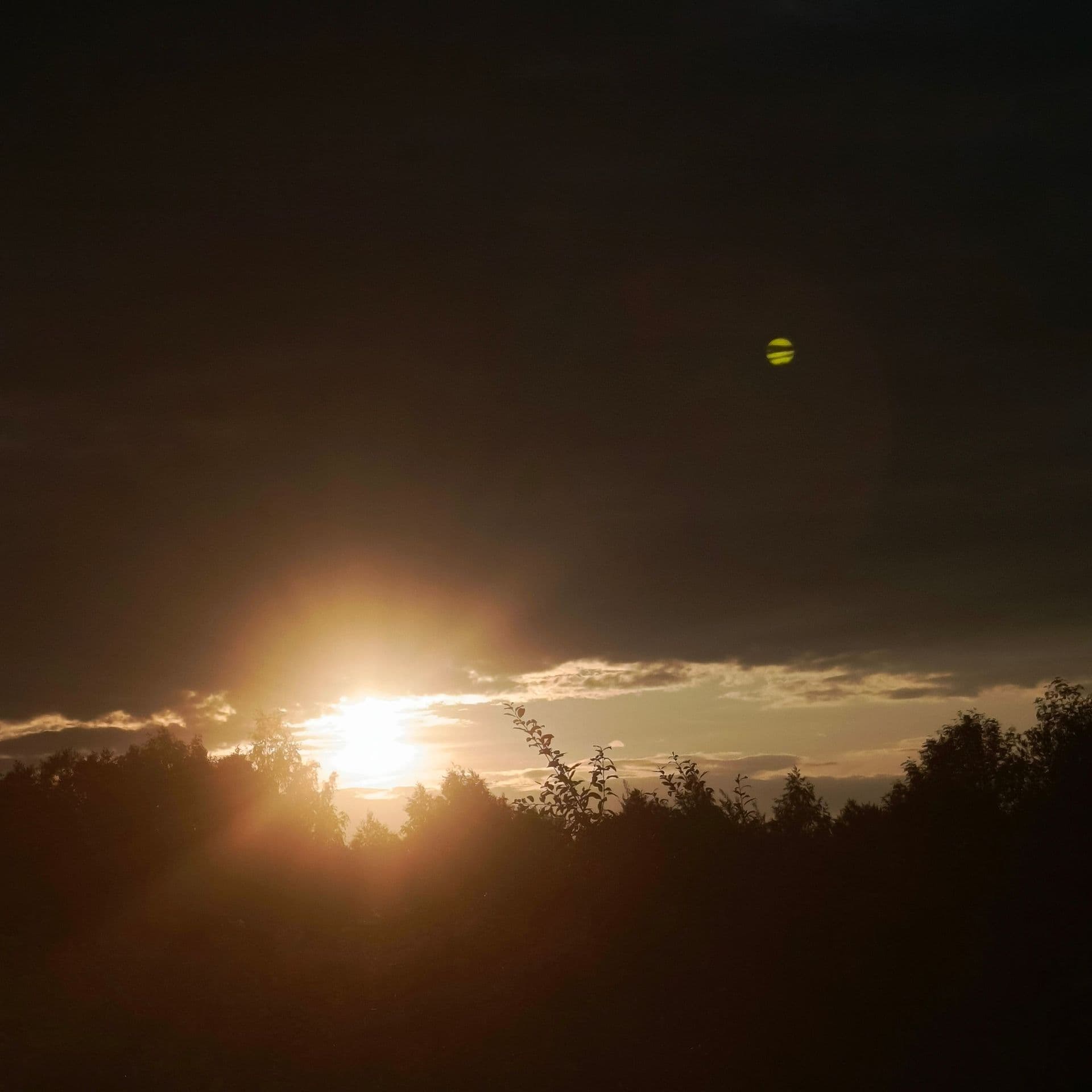 large_image_1752848294377.jpg