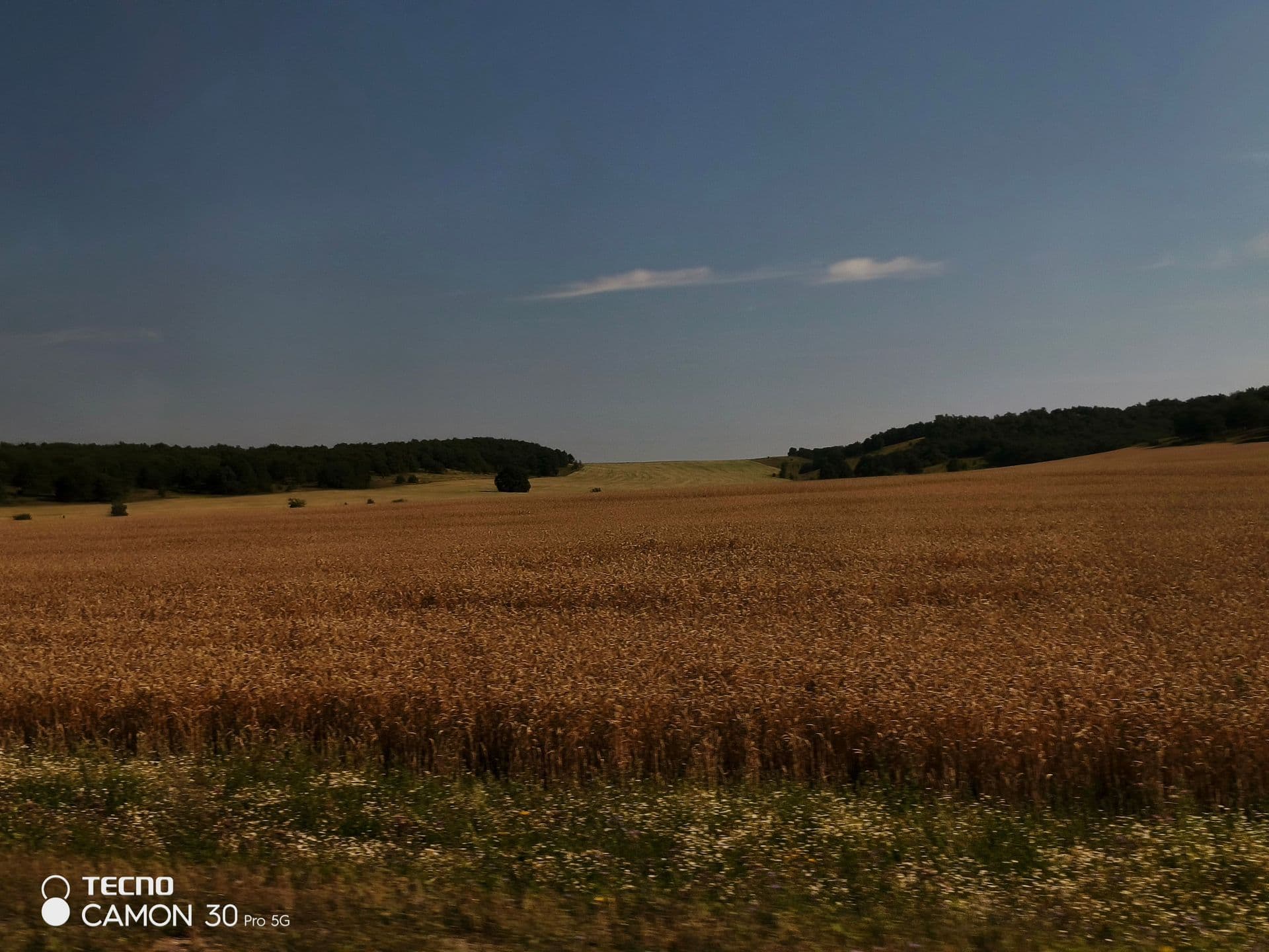 large_image_1752944669190.jpg