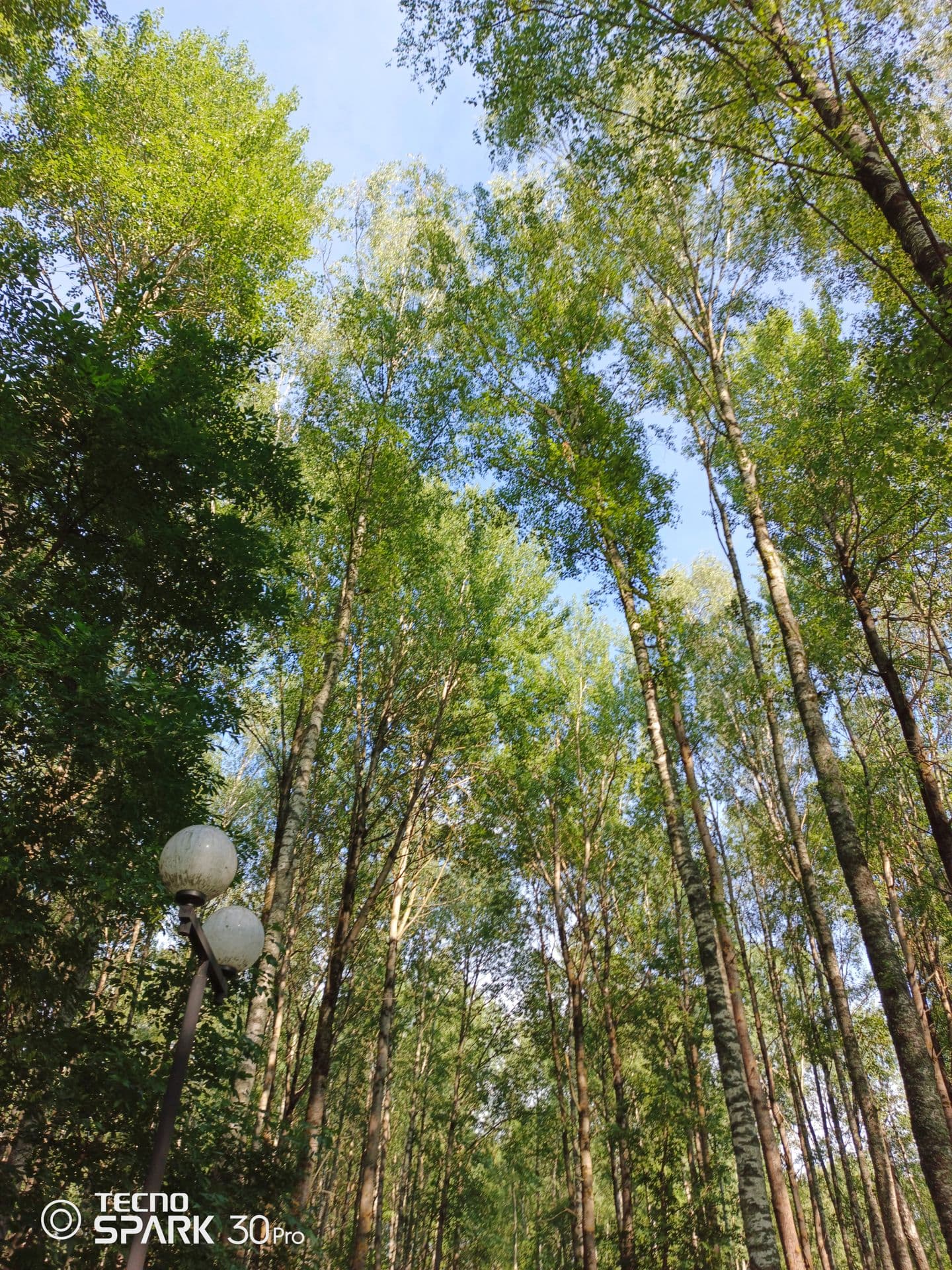 large_image_1753361495841.jpg