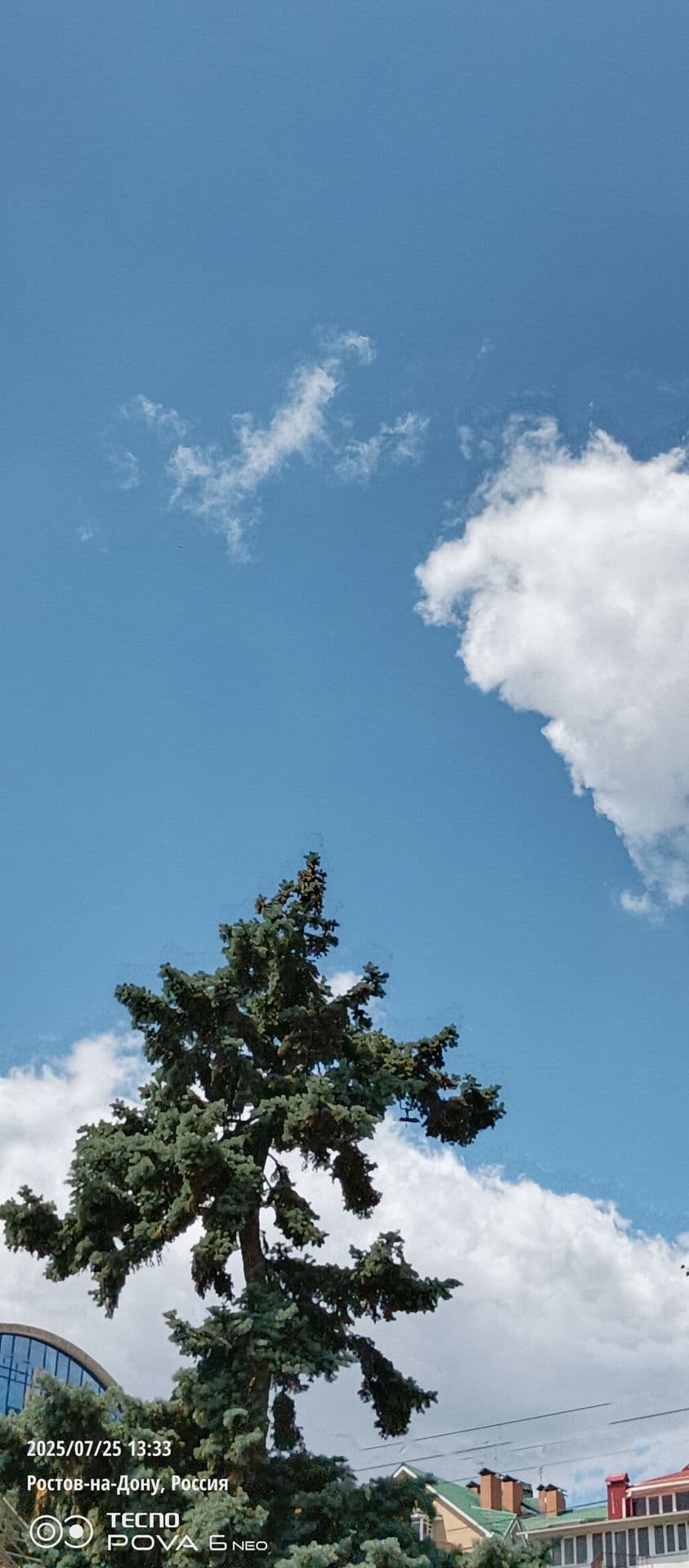 large_image_1753439641884.jpg