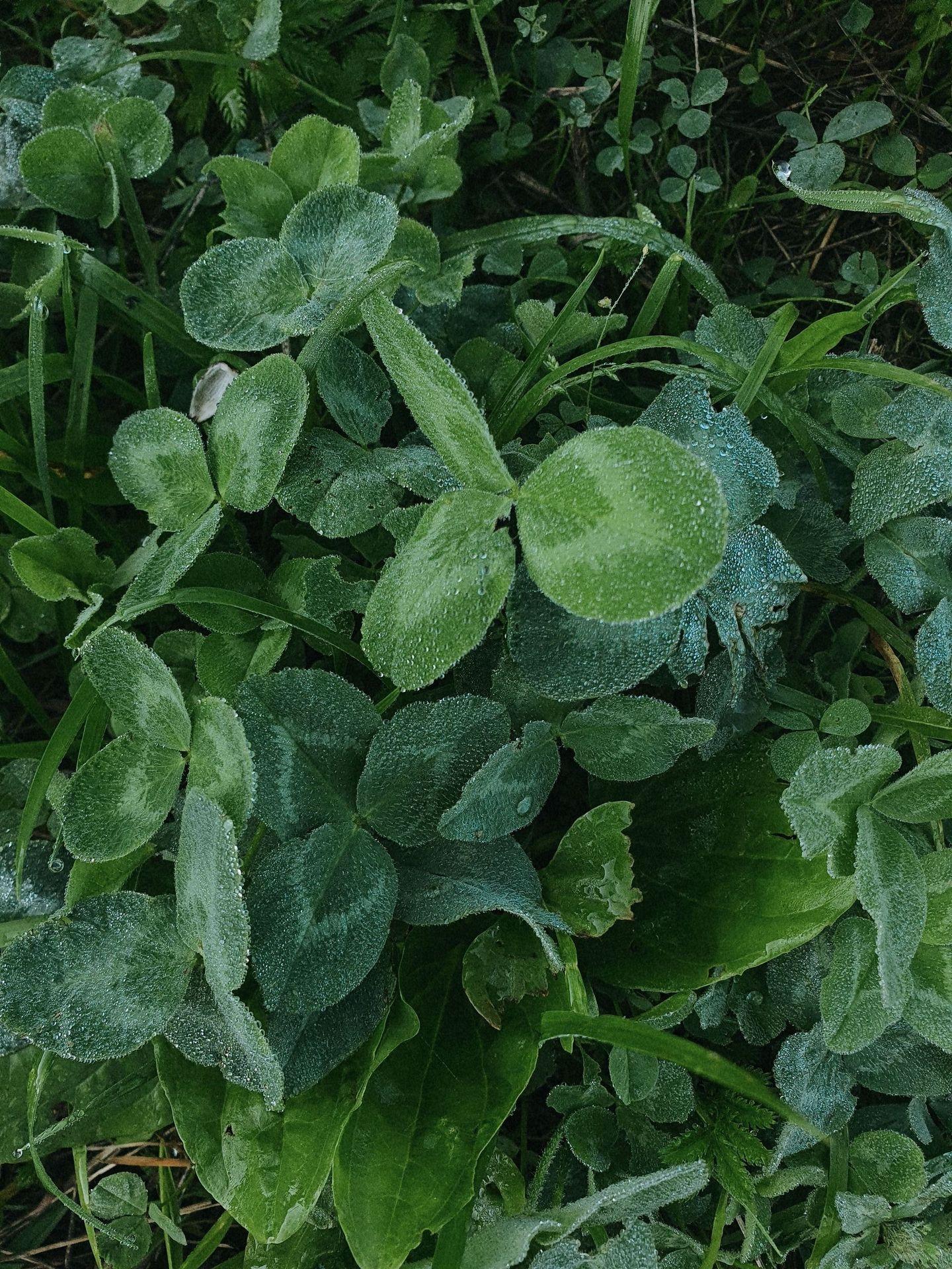 large_image_1753671836004.jpg