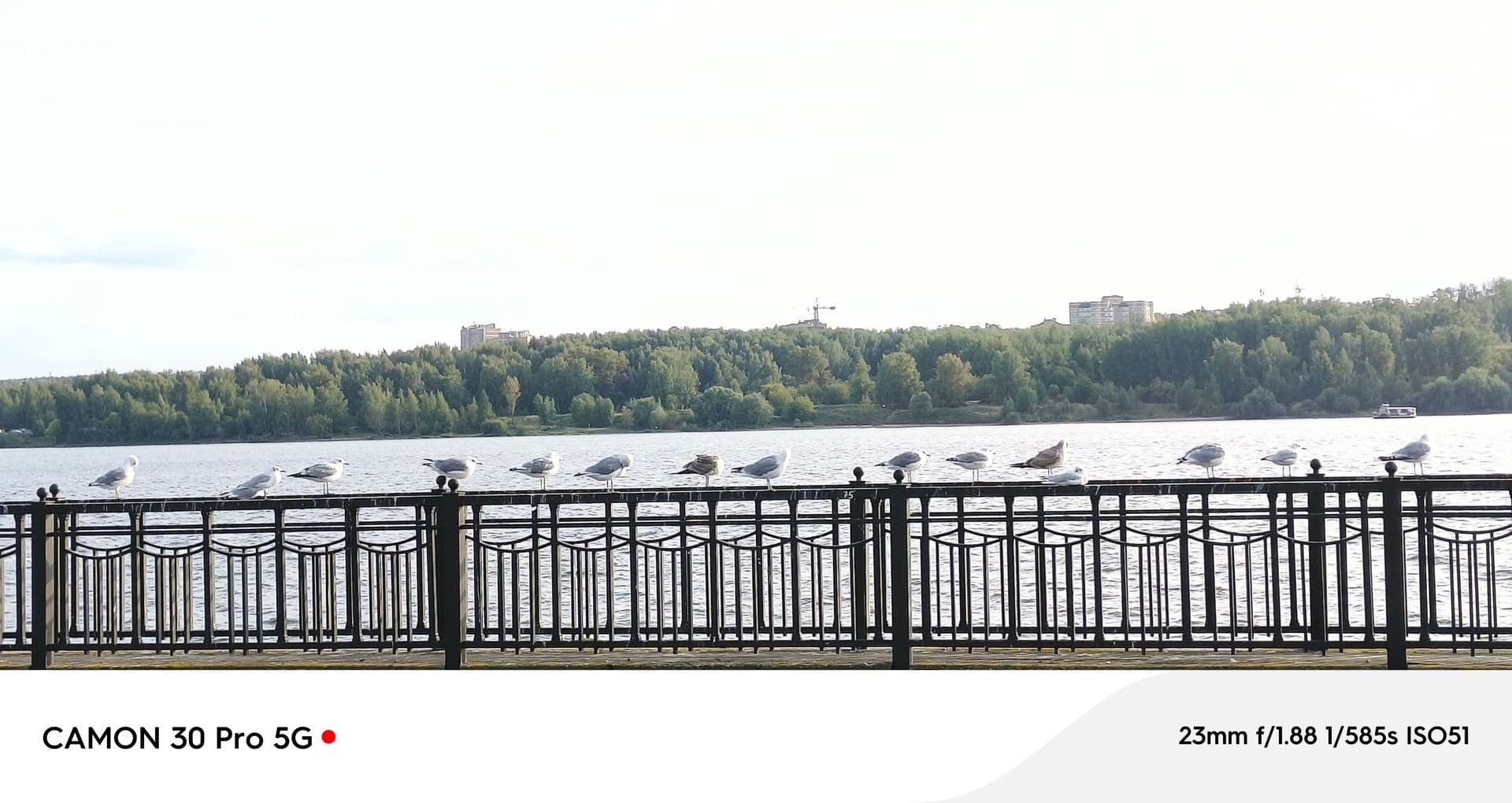 large_image_1753883009610.jpg