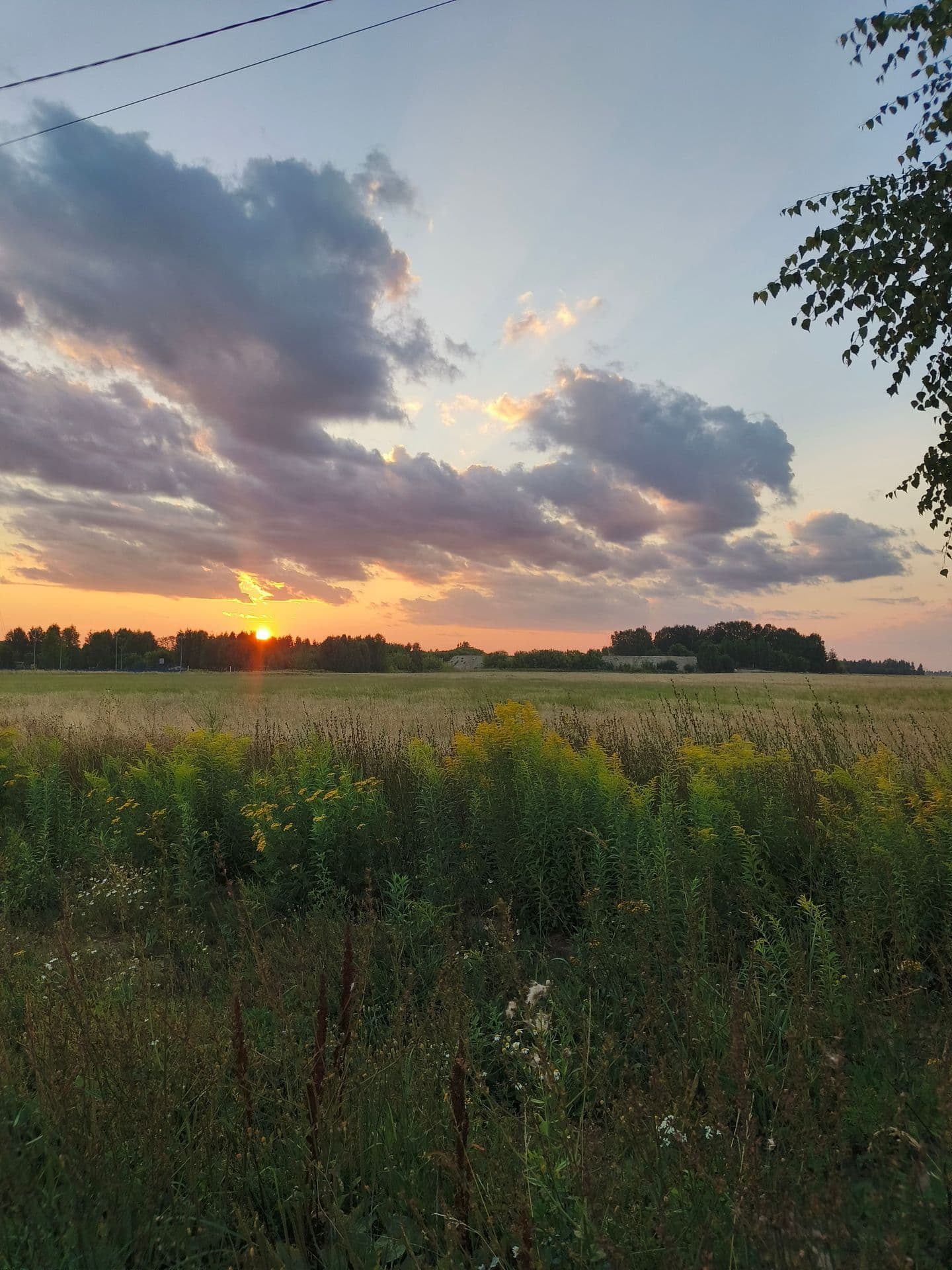 large_image_1753959602684.jpg