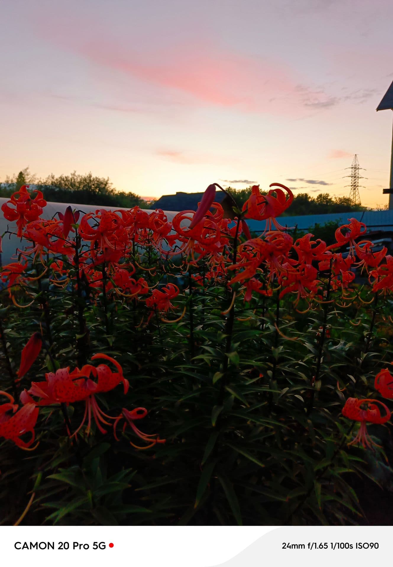 large_image_1754323083267.jpg