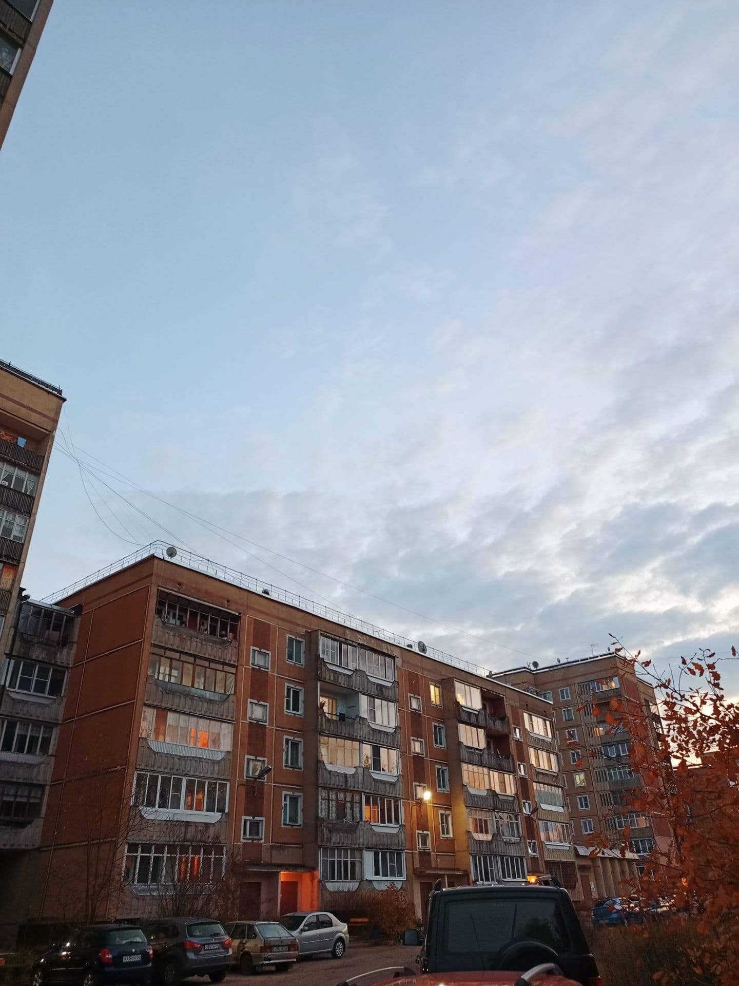 large_image_1754363892475.jpg