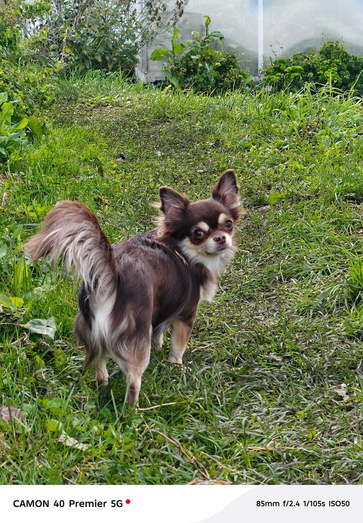 large_image_1777638391728.jpg