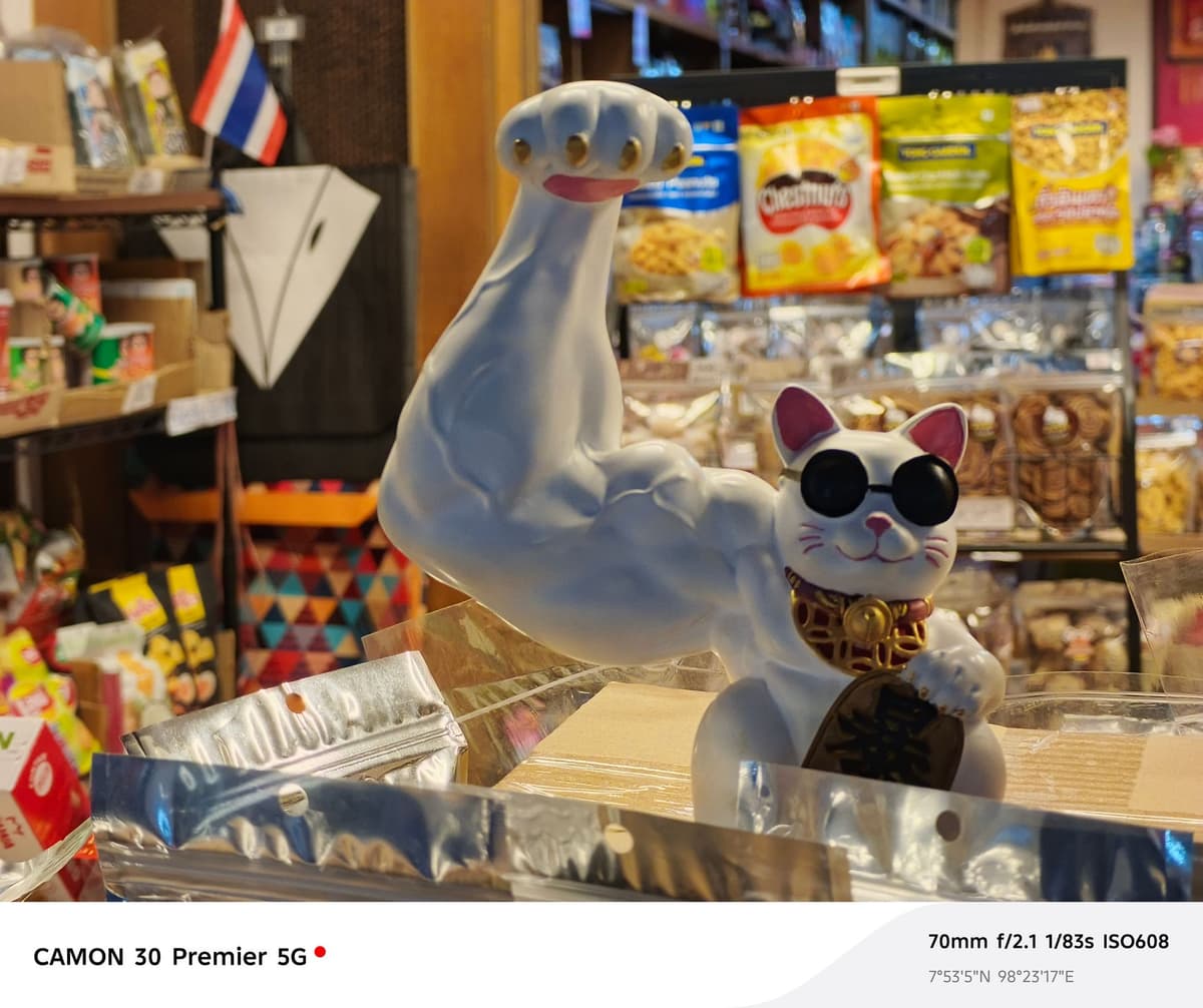 large_image_1777963261664.jpg