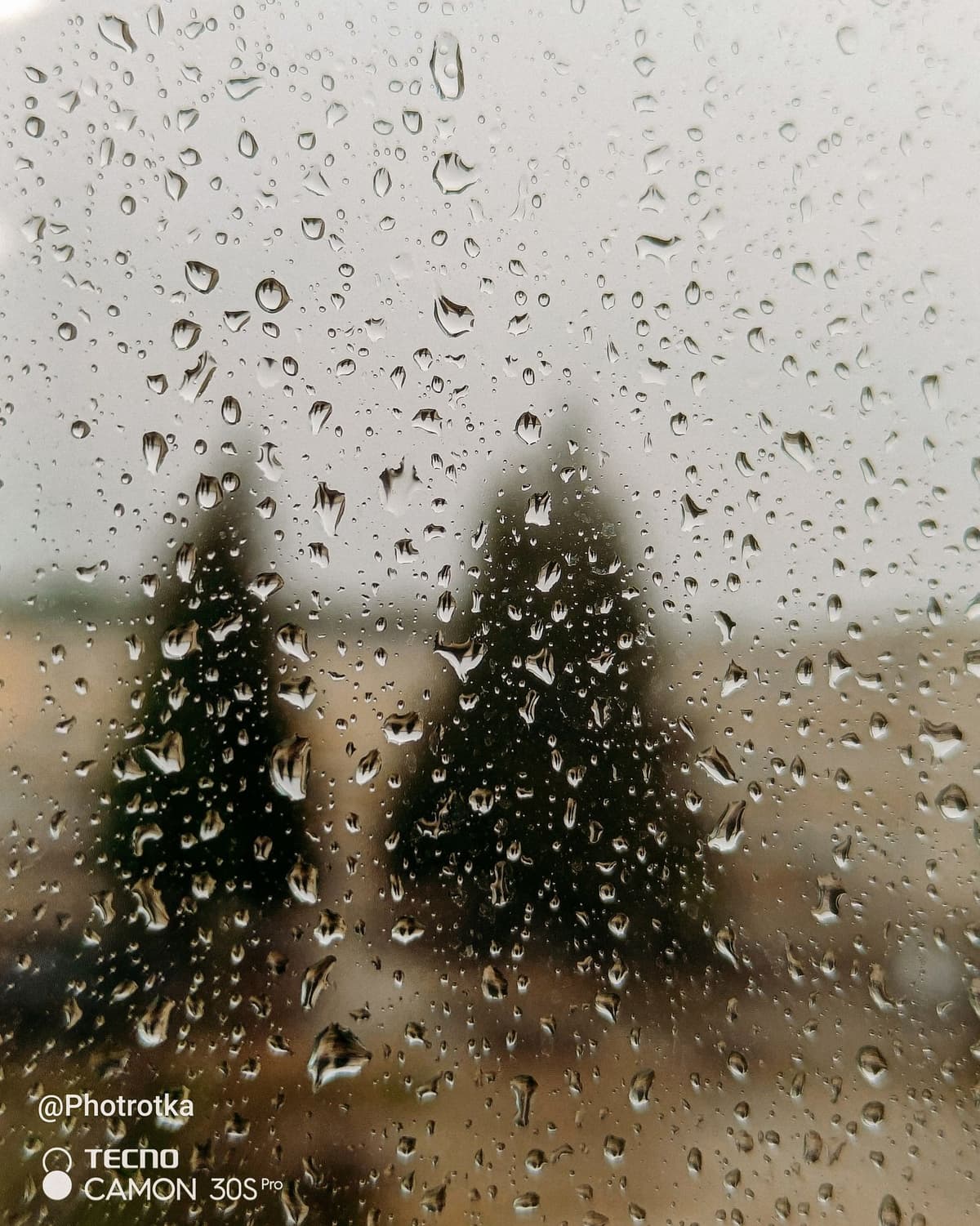 large_image_1778189407133.jpg