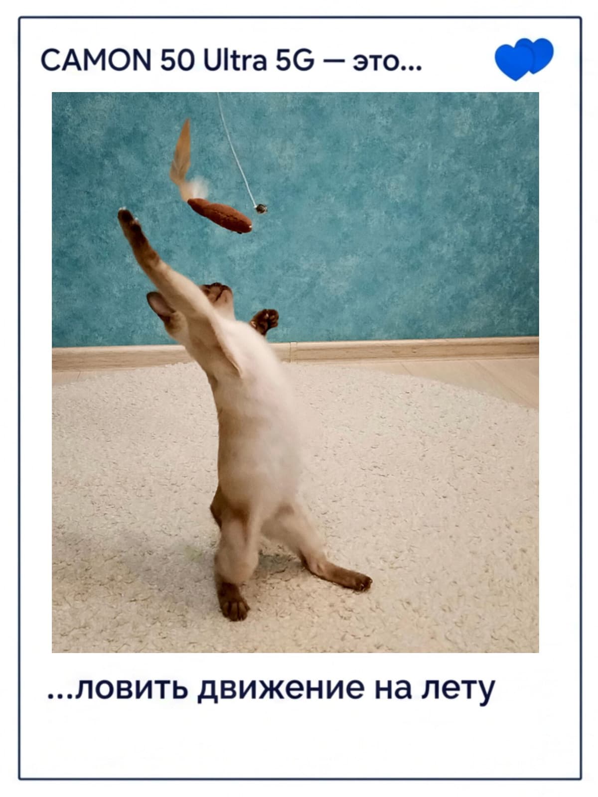 large_image_1778428229368.jpg