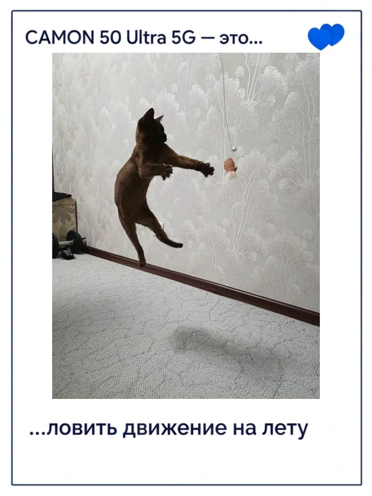 large_image_1778687262922.jpg