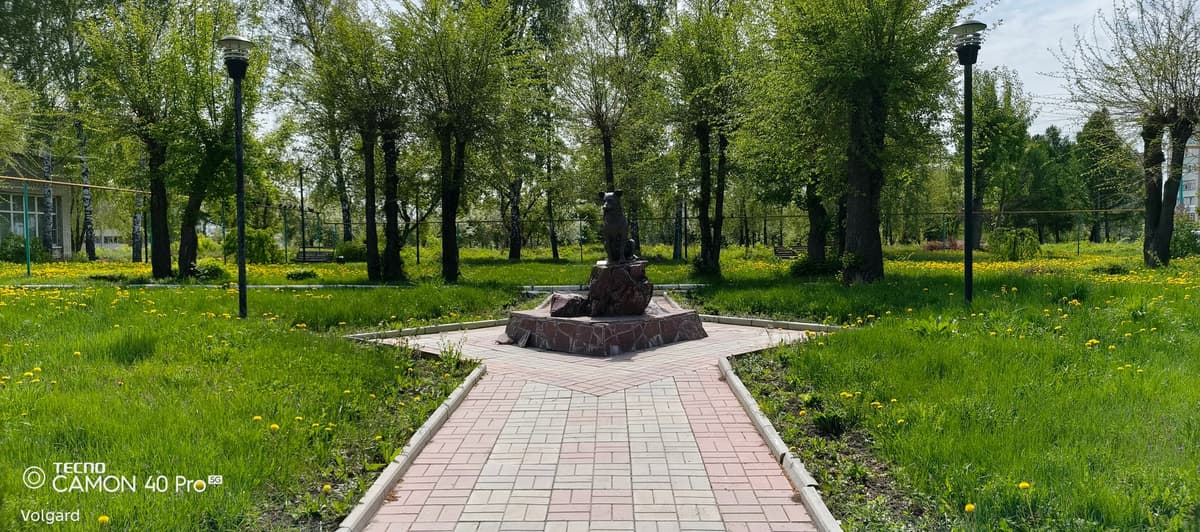 large_image_1778741101170.jpg
