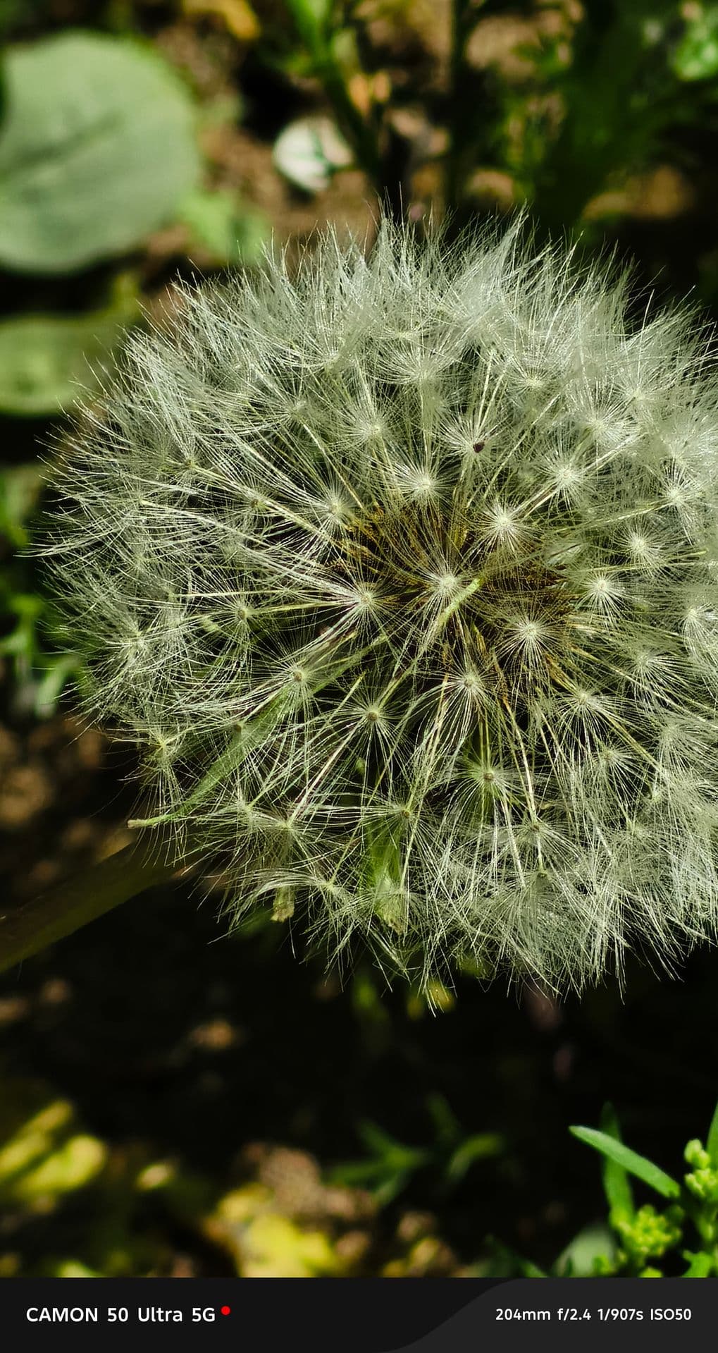 large_image_1779479167385.jpg