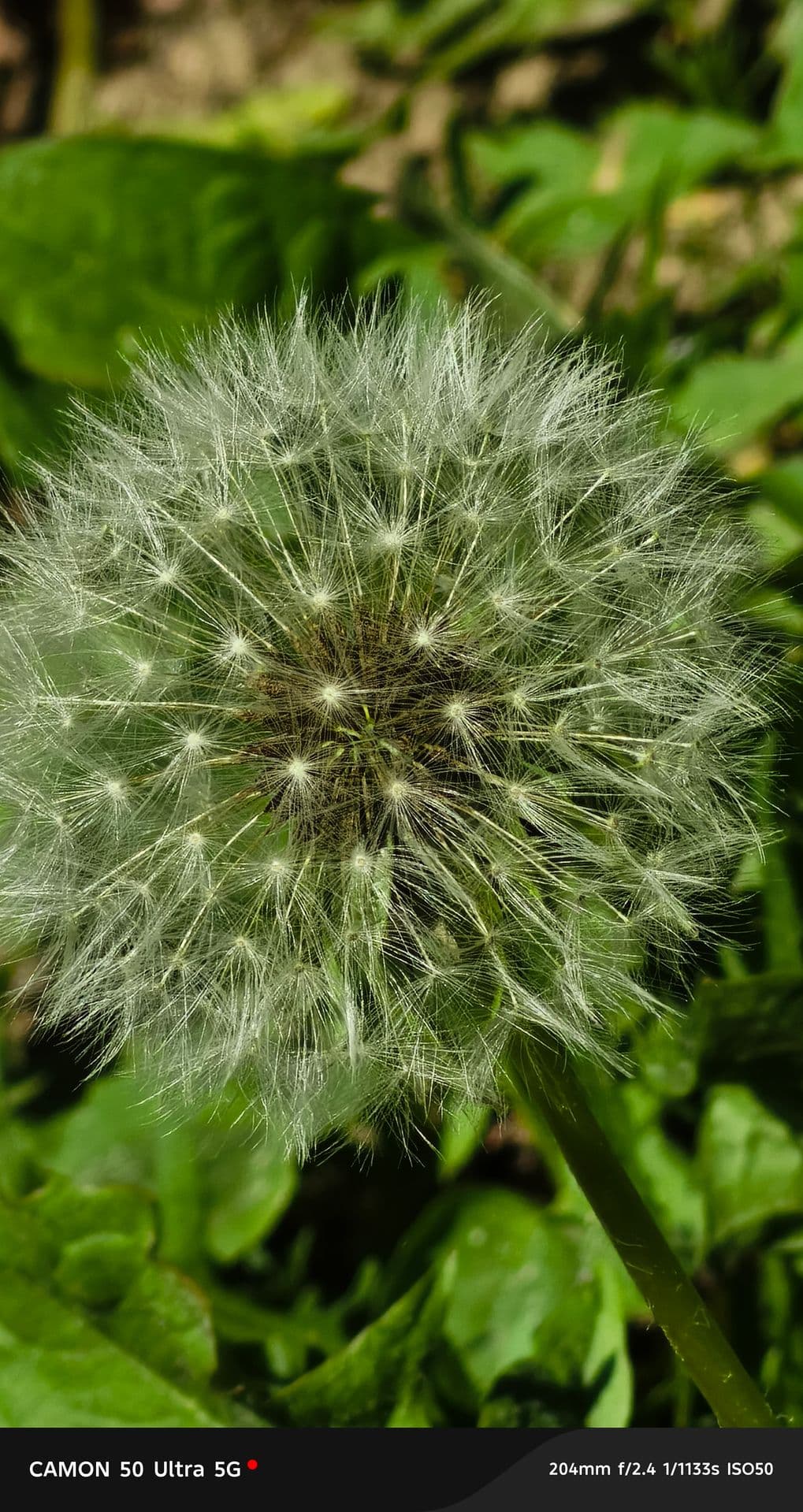 large_image_1779479167385.jpg