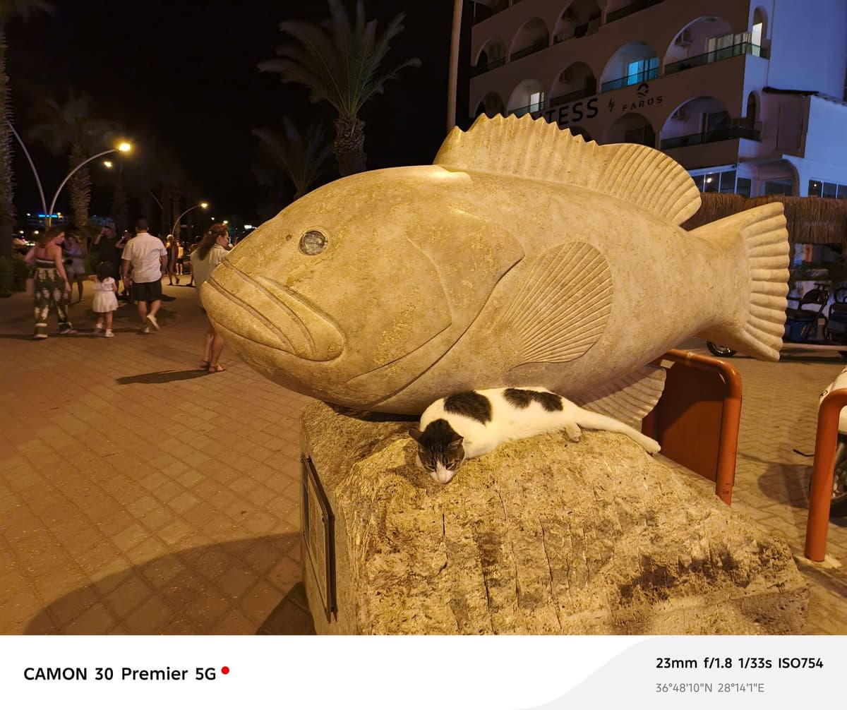 large_image_1779599974392.jpg
