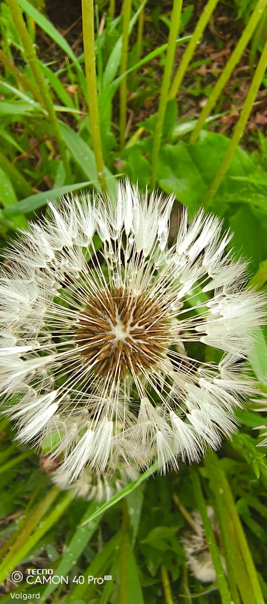 large_image_1780051861457.jpg