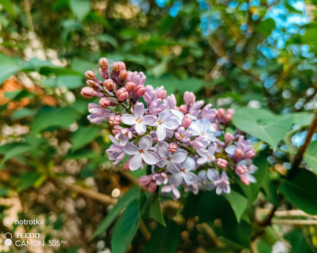 large_image_1780295939730.jpg