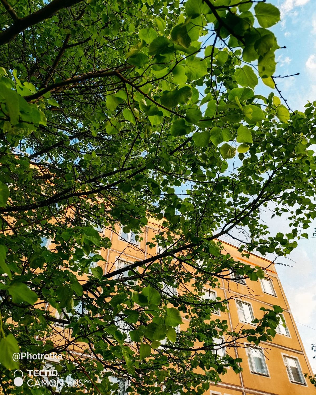 large_image_1780296192062.jpg