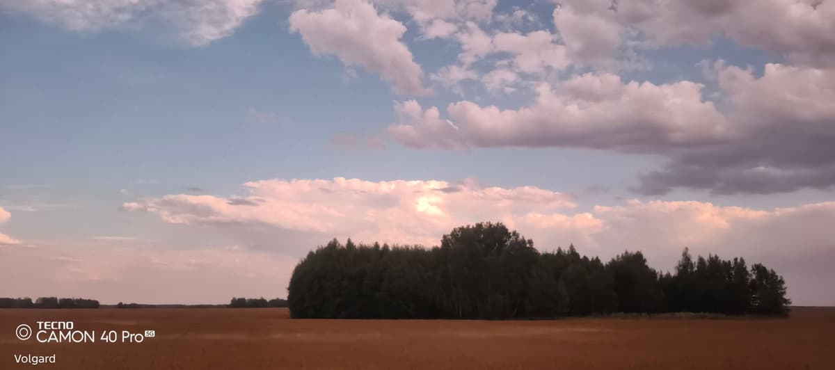 large_image_1786368045073.jpg