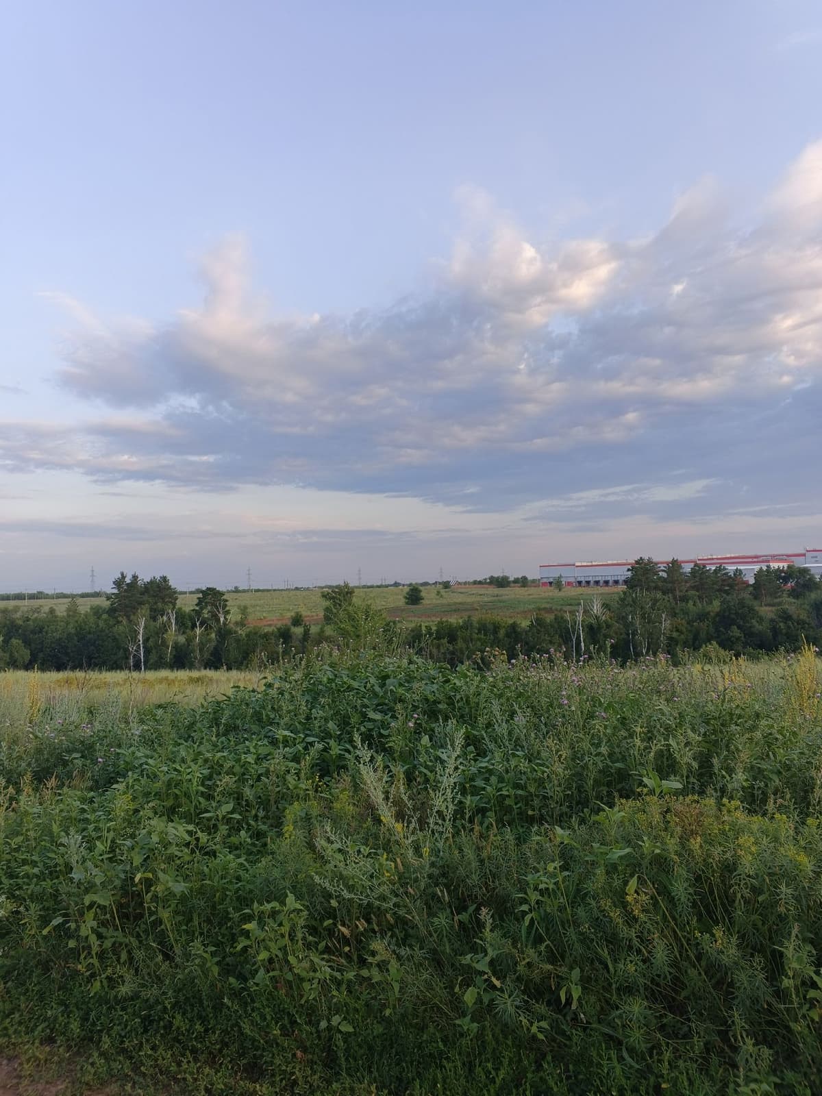 large_image_1787324408068.jpg